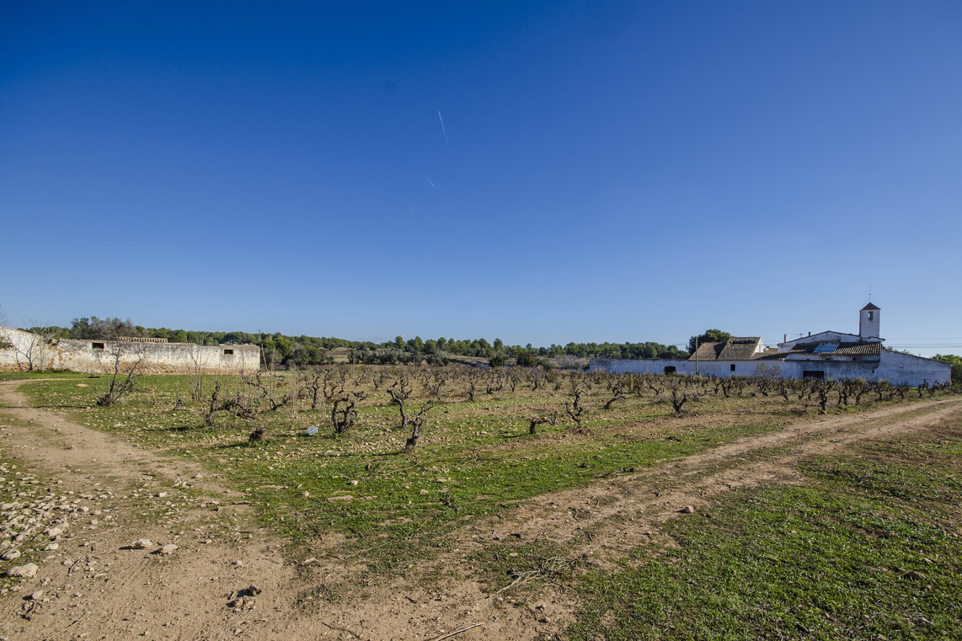  Masia with Vineyards and 3.13 Hectares in Vilanova i la Geltrú - 物件實景
