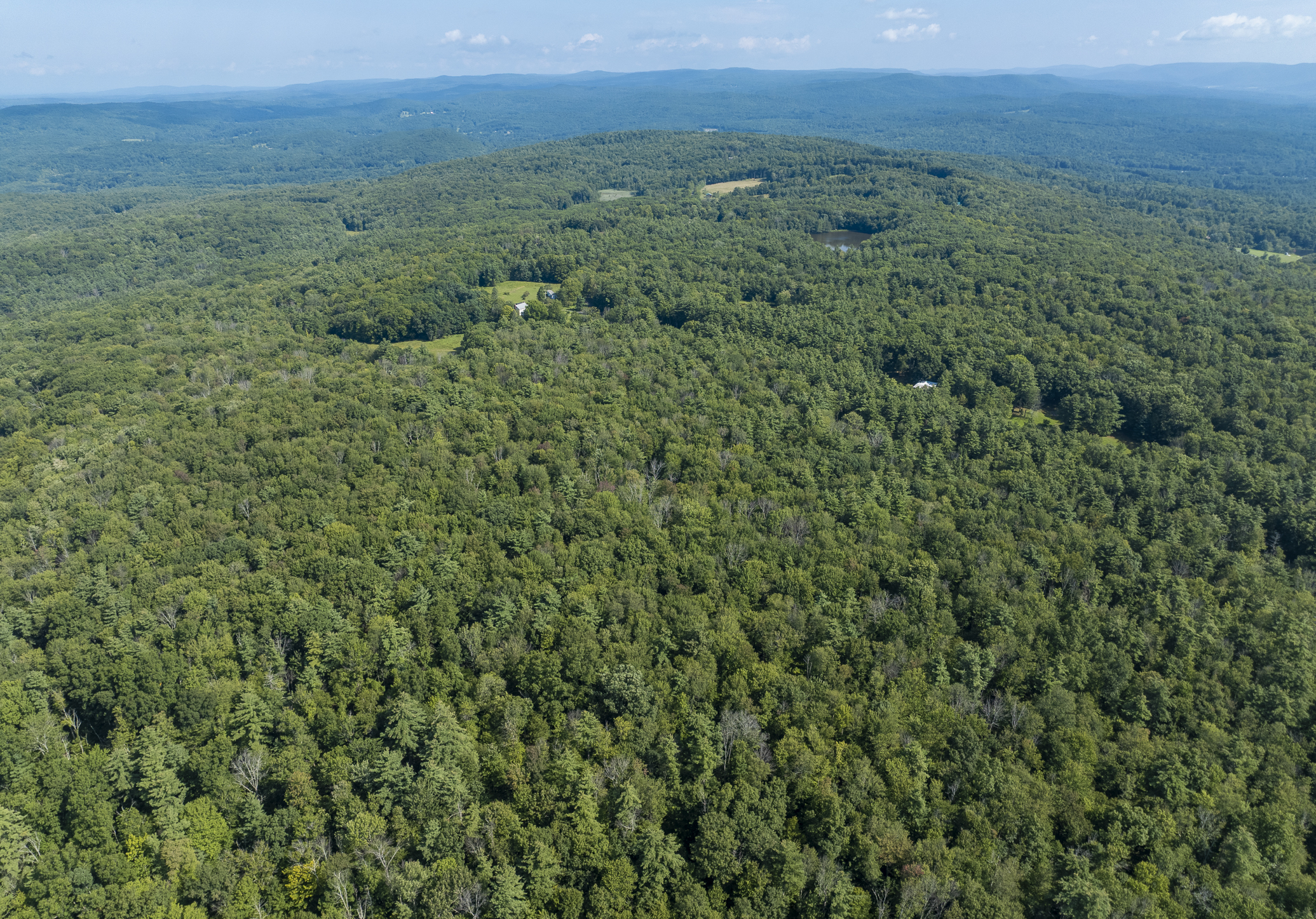  1,180+ Feet of Frontage: Privacy & Seclusion within Easy Reach of the Berkshires - 物件實景