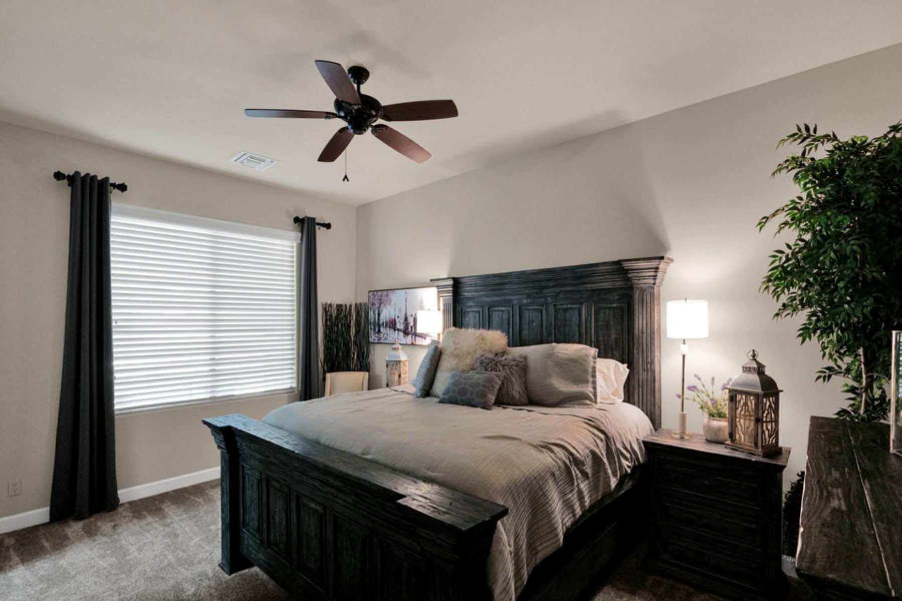  5716 E Milton Drive ¦ Cave Creek, AZ - 物件實景