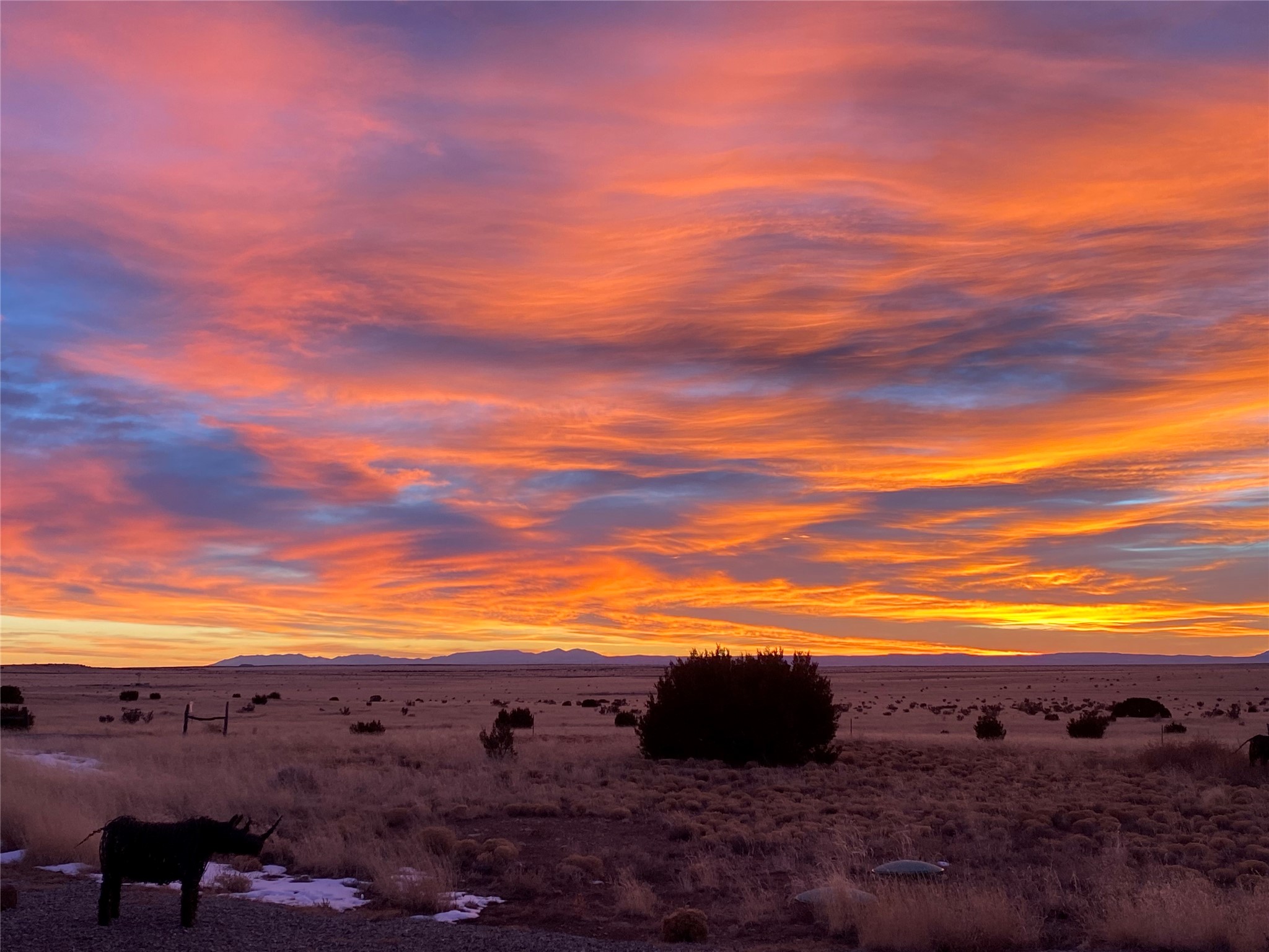  26262 US Highway 285 - 物件實景