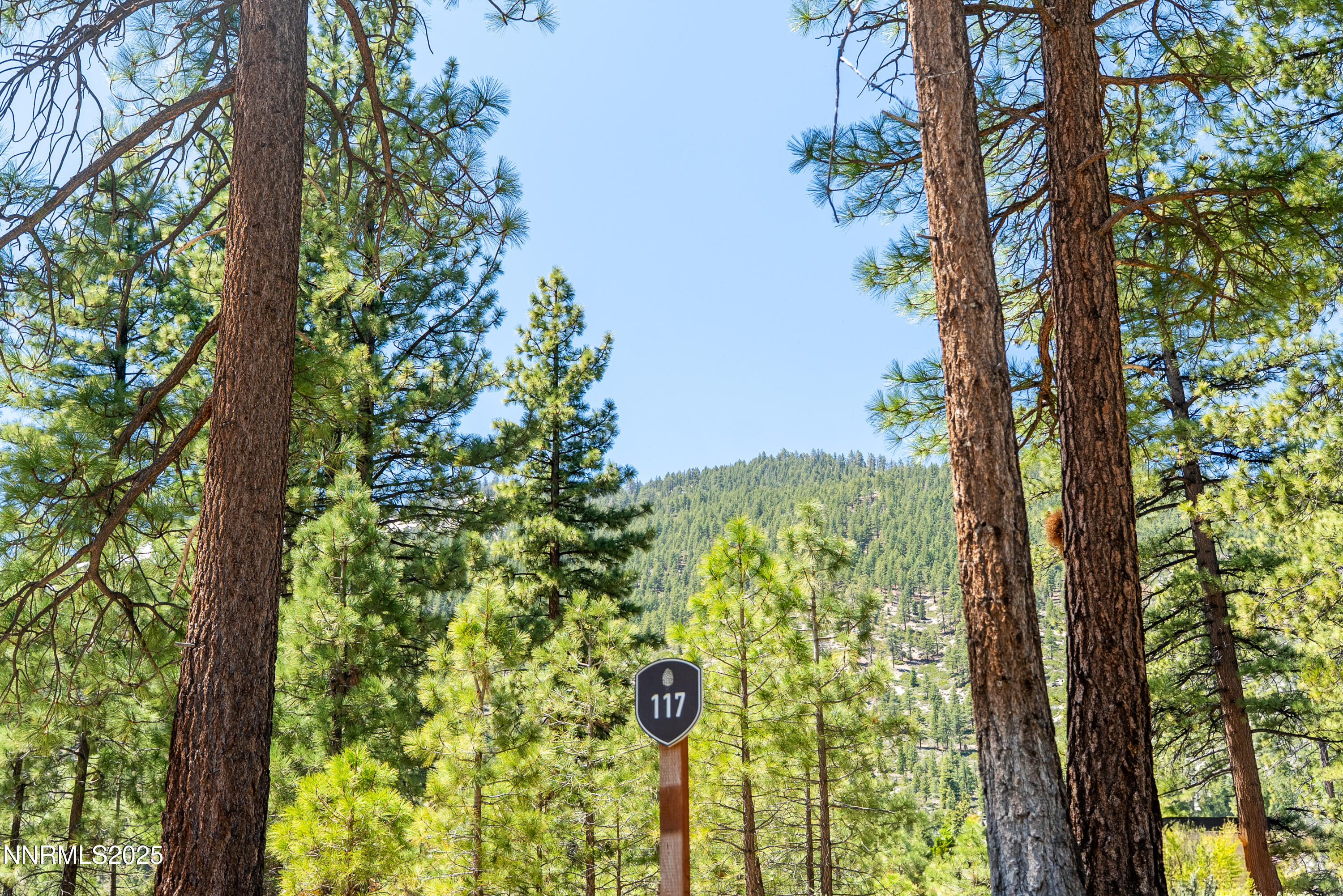 Carson City, Nevada, 89705, United States, ,Land,For Sale,1848376