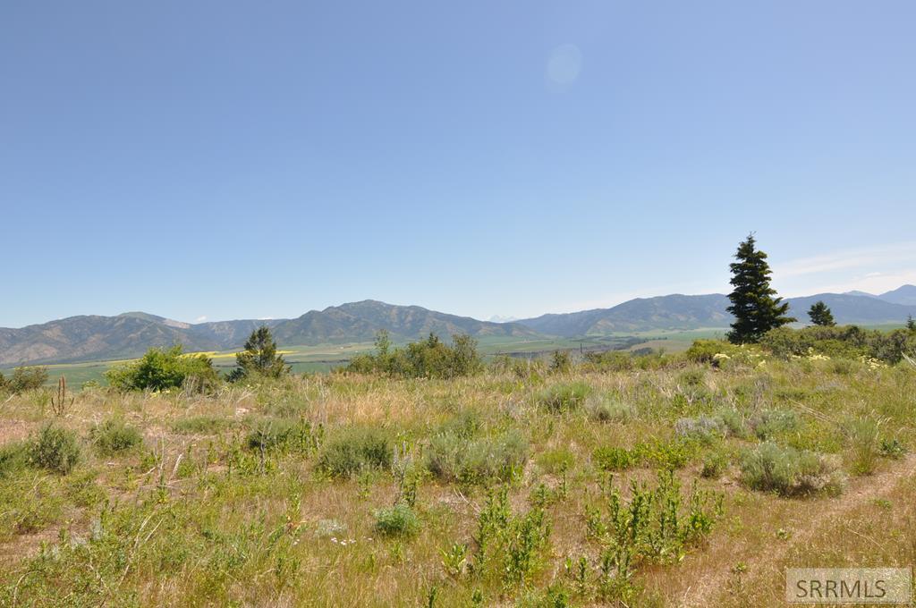 SWAN VALLEY, Idaho, 83449, United States, ,Land,For Sale,1982720