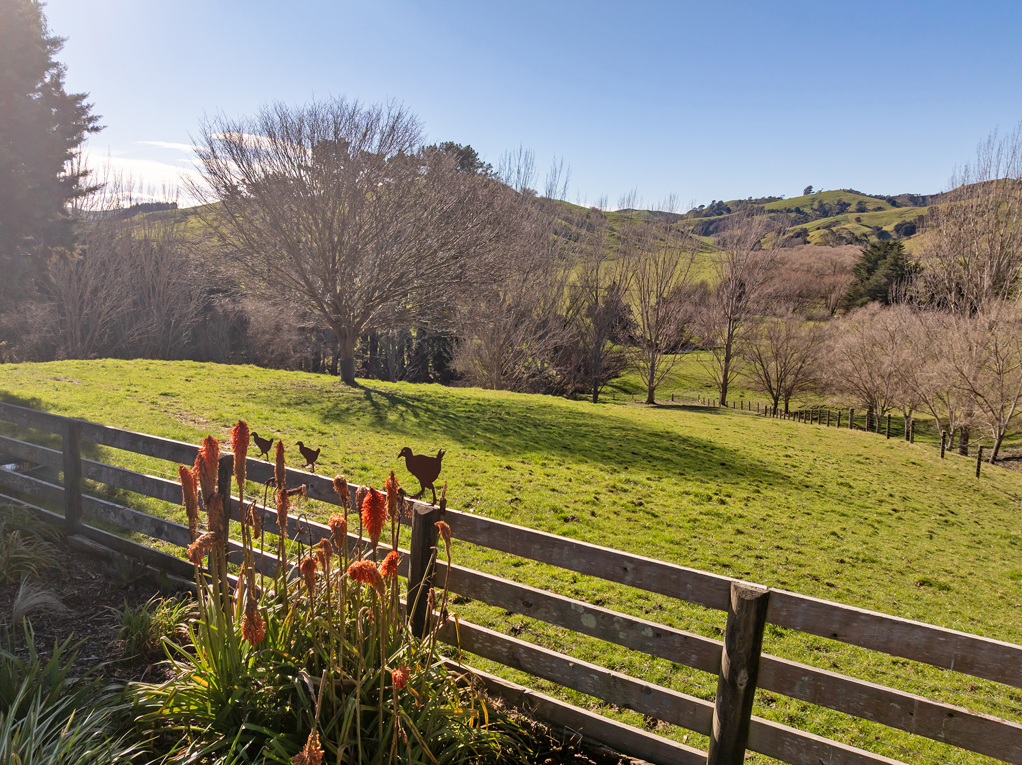  Te Ore Ore Bideford Road, Masterton - 物件實景