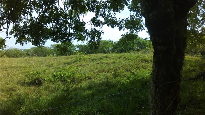 Sosua, DO, ,Land,For Sale,1622583