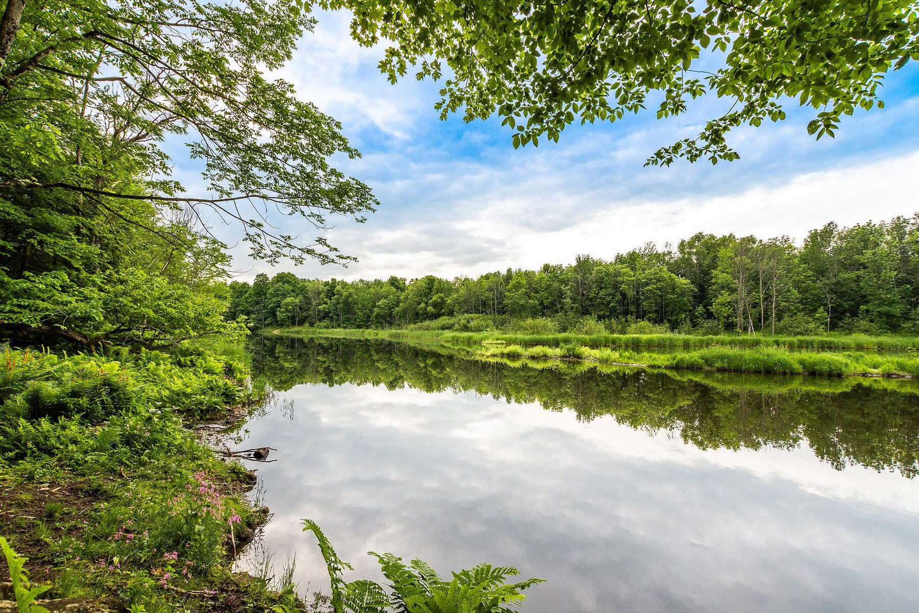  Bromont, Eastern Townships - 物件實景