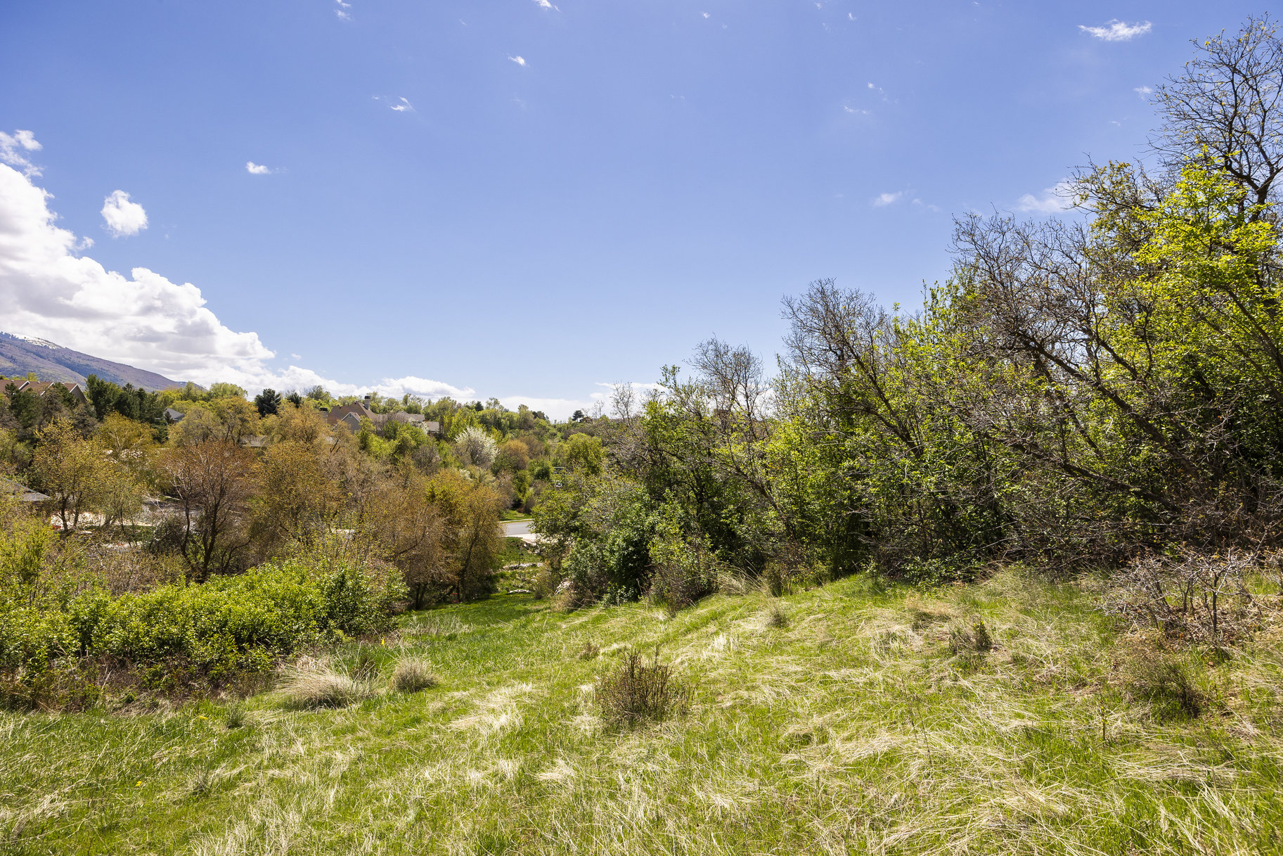  1.47 Acre Lot In East Layton With Endless Possibilities - 物件實景