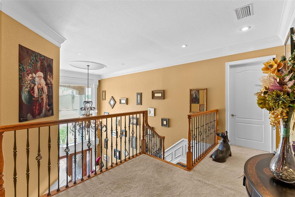 Thonotosassa, Florida, 33592, United States, 4 Bedrooms Bedrooms, ,7 BathroomsBathrooms,Residential,For Sale,1788935
