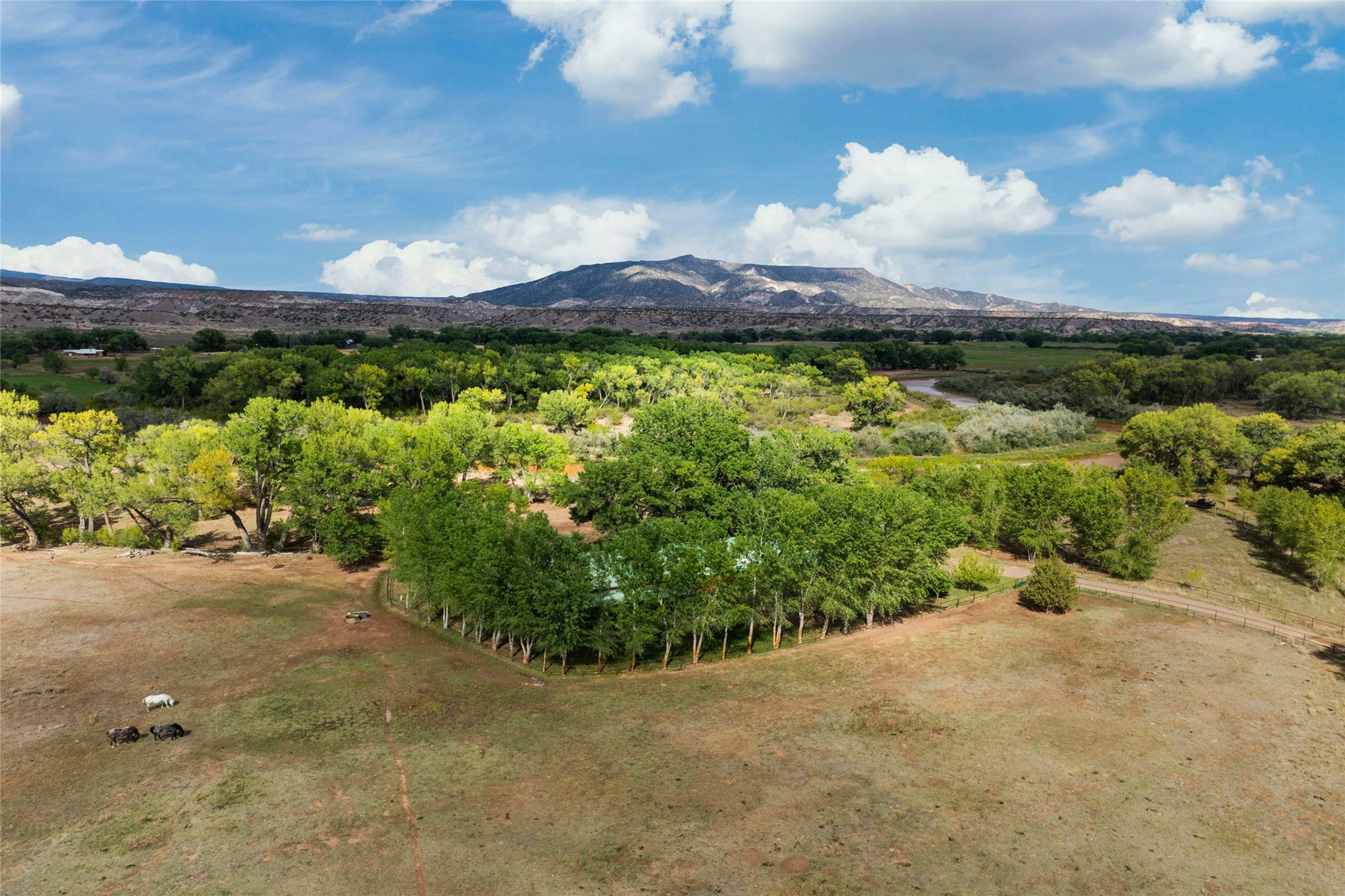  28 Rancho Acequias - 物件實景