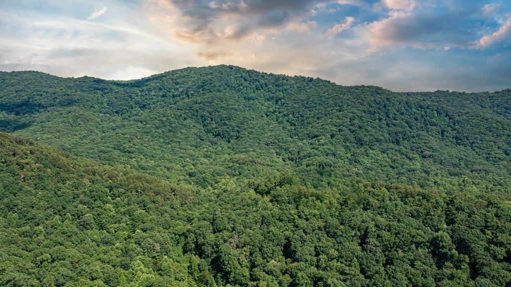 Cherry Log, Georgia, 30522, United States, ,Land,For Sale,1858995