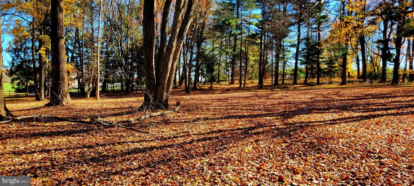 Glen Mills, Pennsylvania, 19342, United States, ,Land,For Sale,1857840