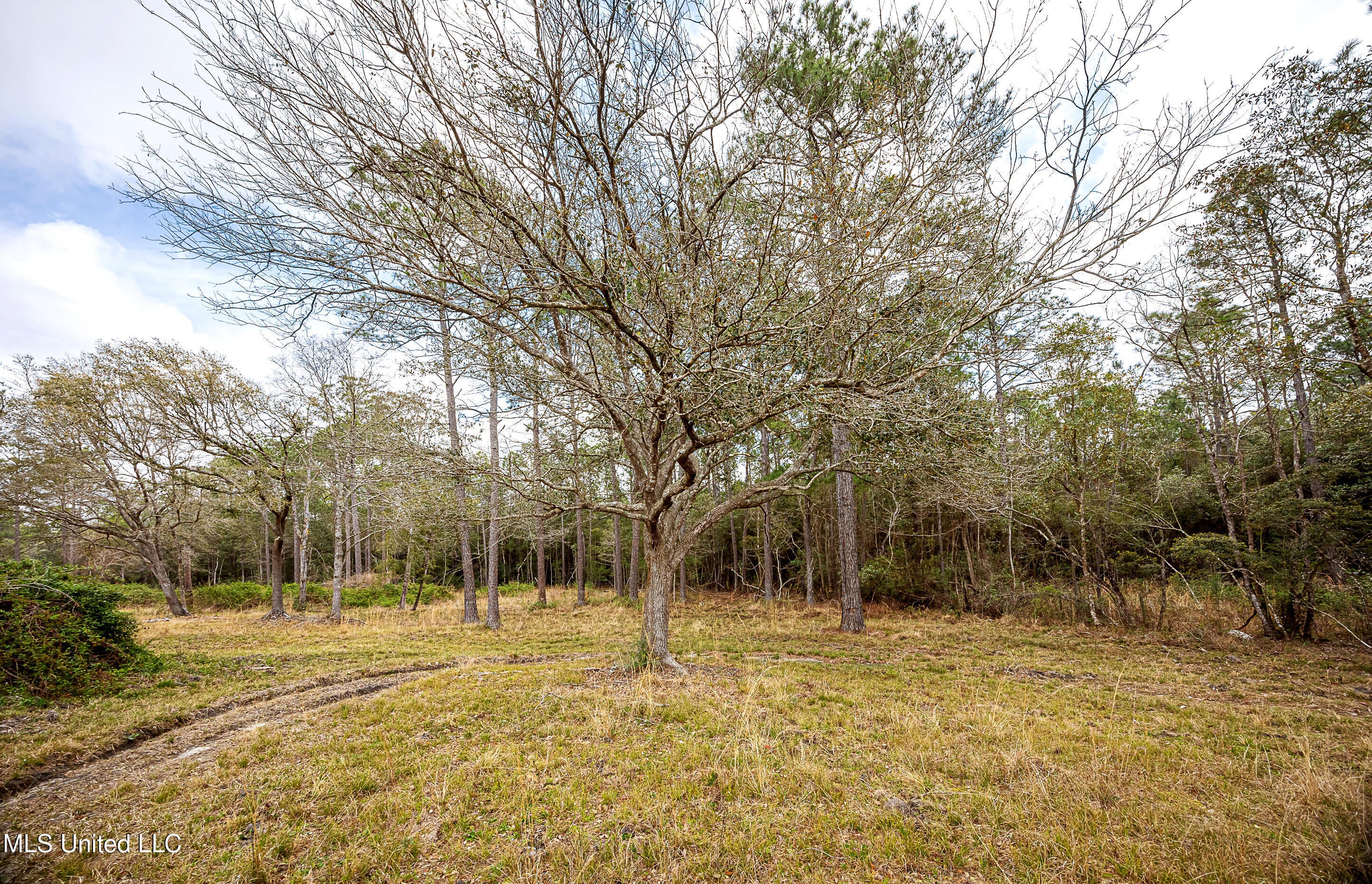 Vancleave, Mississippi, 39565, United States, 4 Bedrooms Bedrooms, ,2 BathroomsBathrooms,Residential,For Sale,1927401