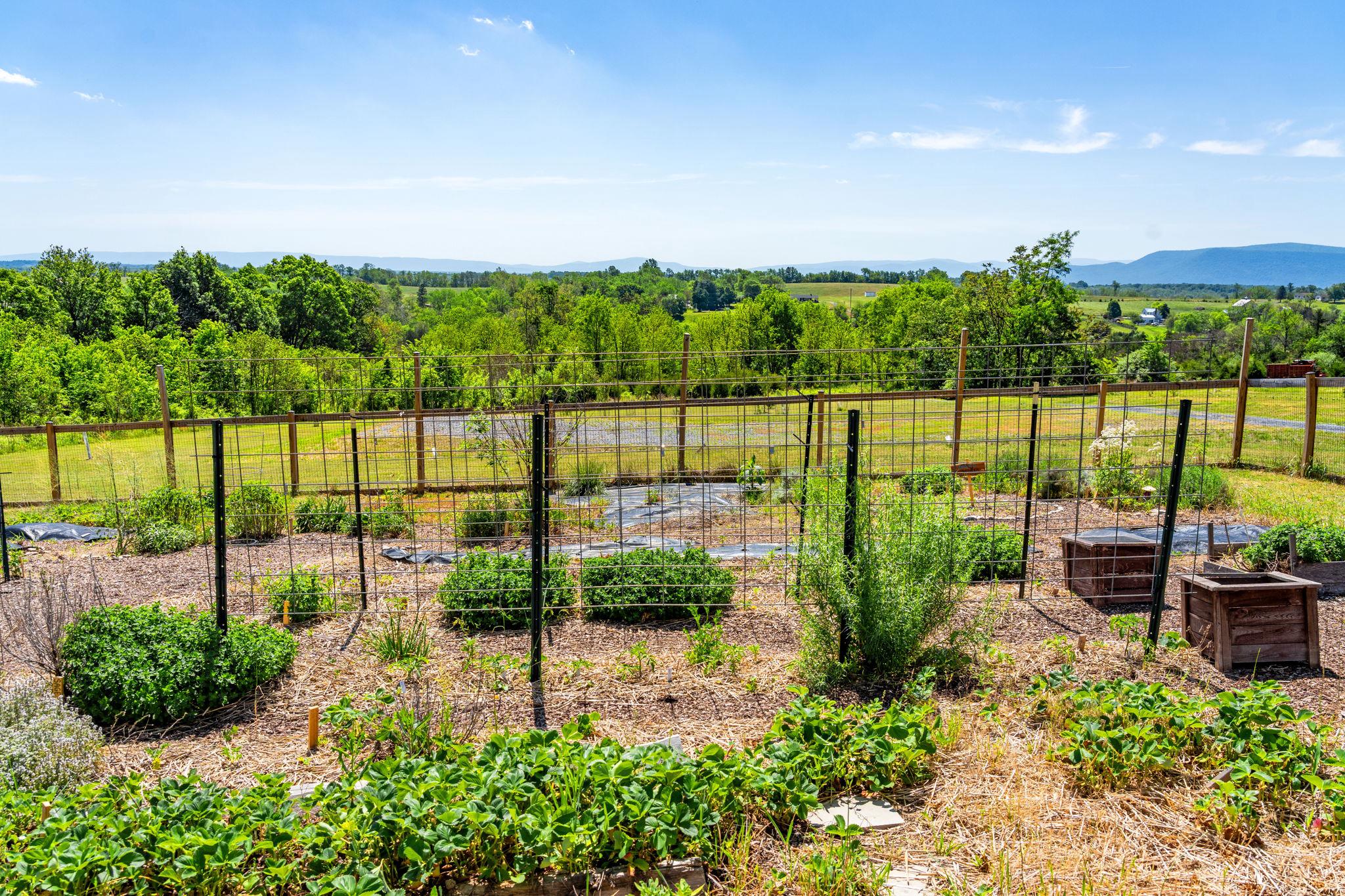  384 Lindamood Lane, Strasburg, VA, 22641 - 物件實景