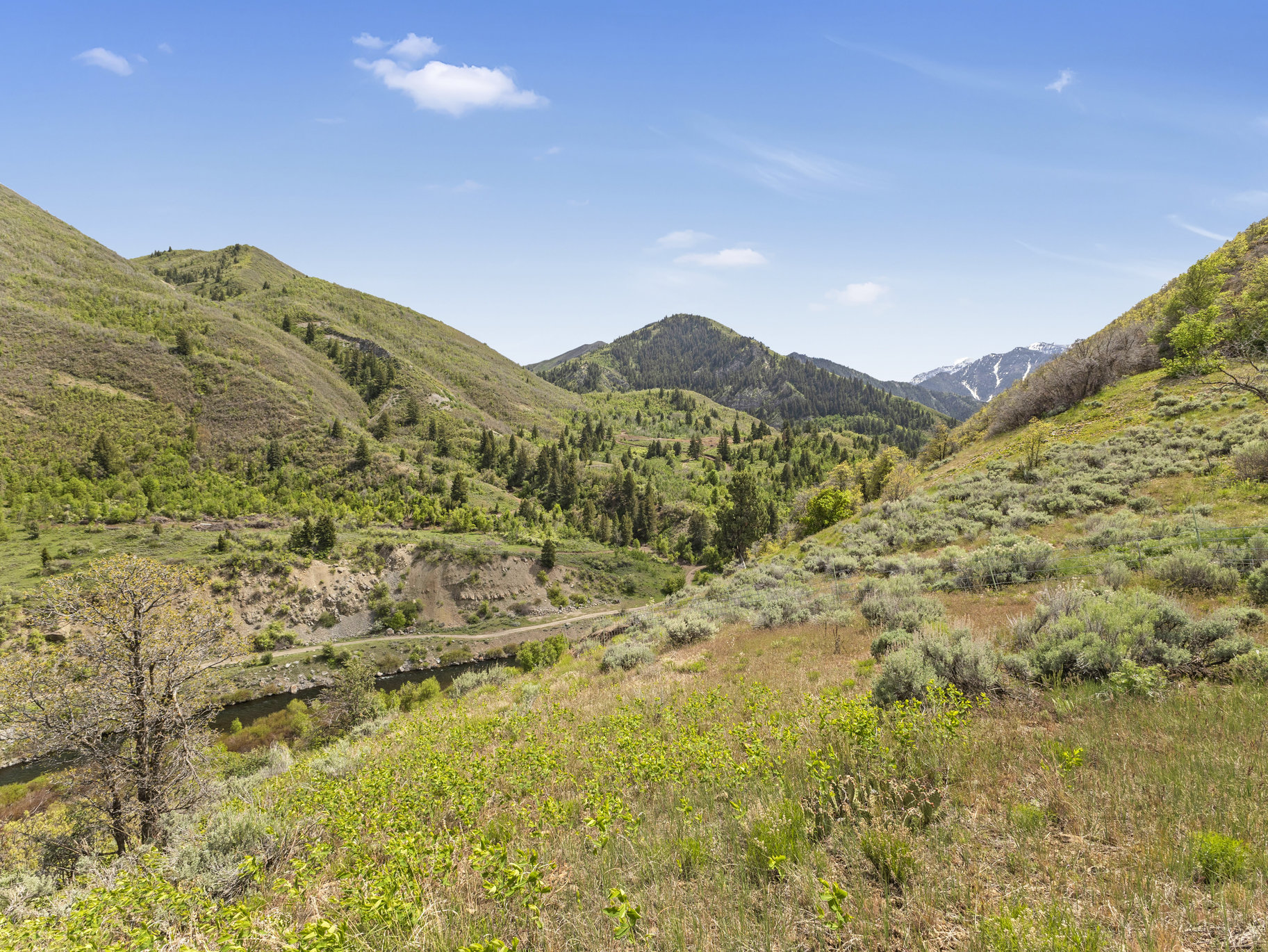  5.4 Acres In Provo Canyon With Easement To River - 物件實景