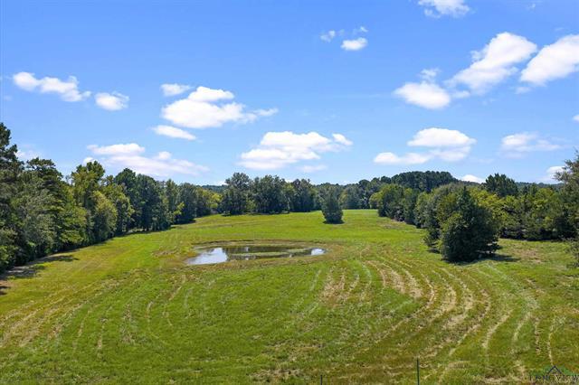 Henderson, Texas, 75652, United States, 3 Bedrooms Bedrooms, ,2 BathroomsBathrooms,Residential,For Sale,1958802