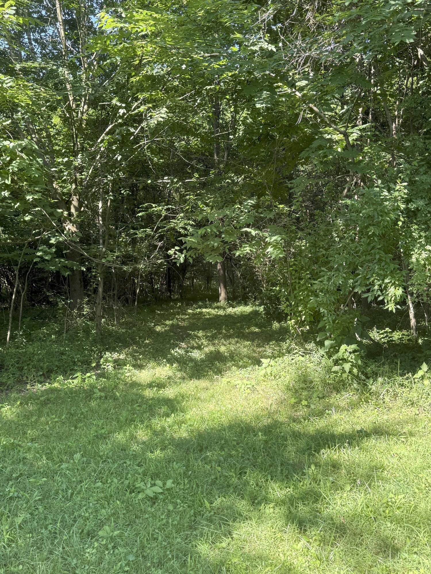 Johnstown, Ohio, 43031, United States, 3 Bedrooms Bedrooms, ,2 BathroomsBathrooms,Residential,For Sale,1896199
