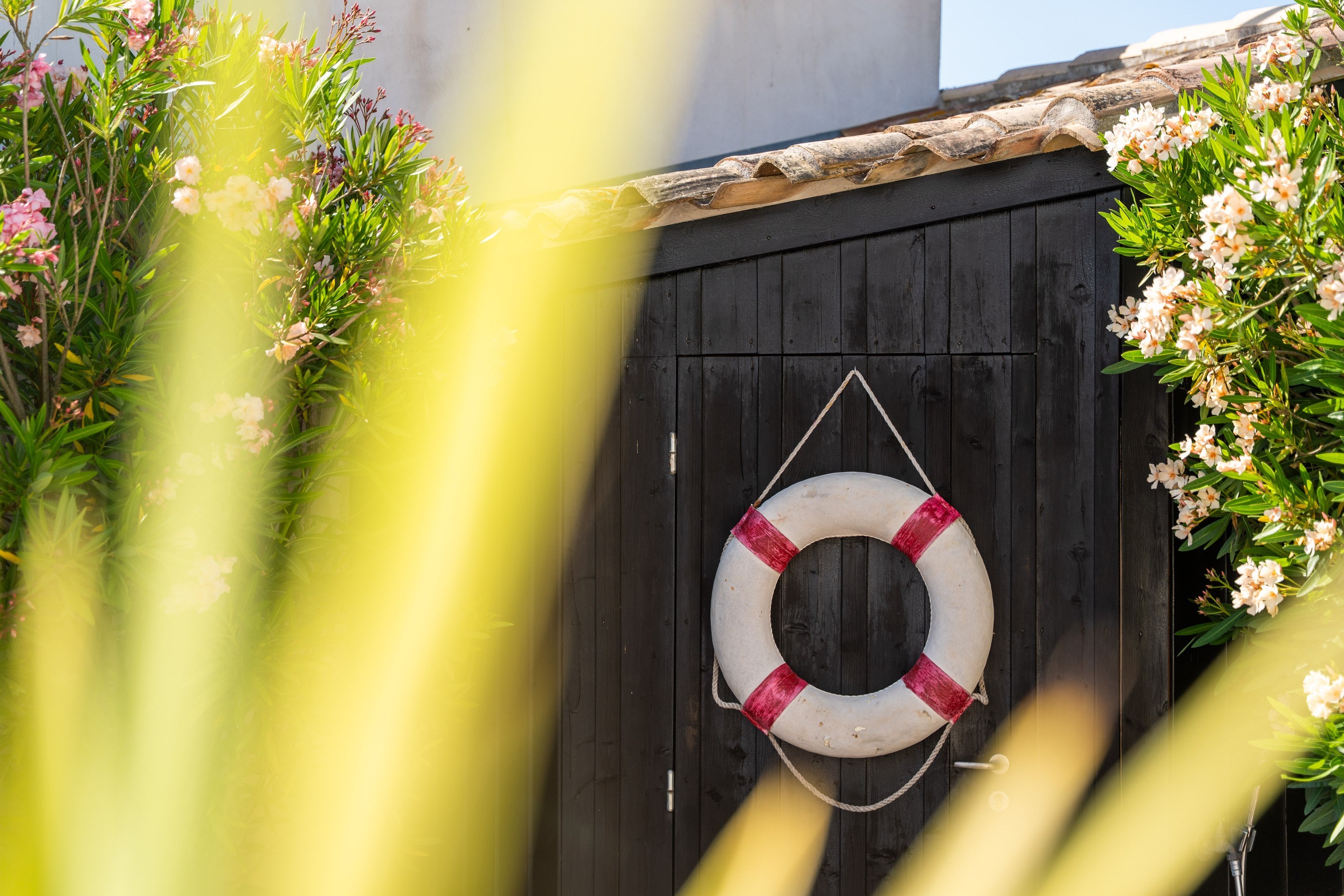  Île de Ré - Loix - Family house with swimming pool - 物件實景