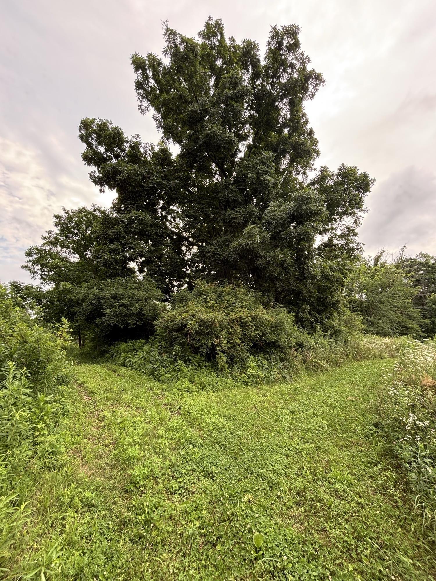 Gays Mills, Wisconsin, 54631, United States, ,Residential,For Sale,1928729