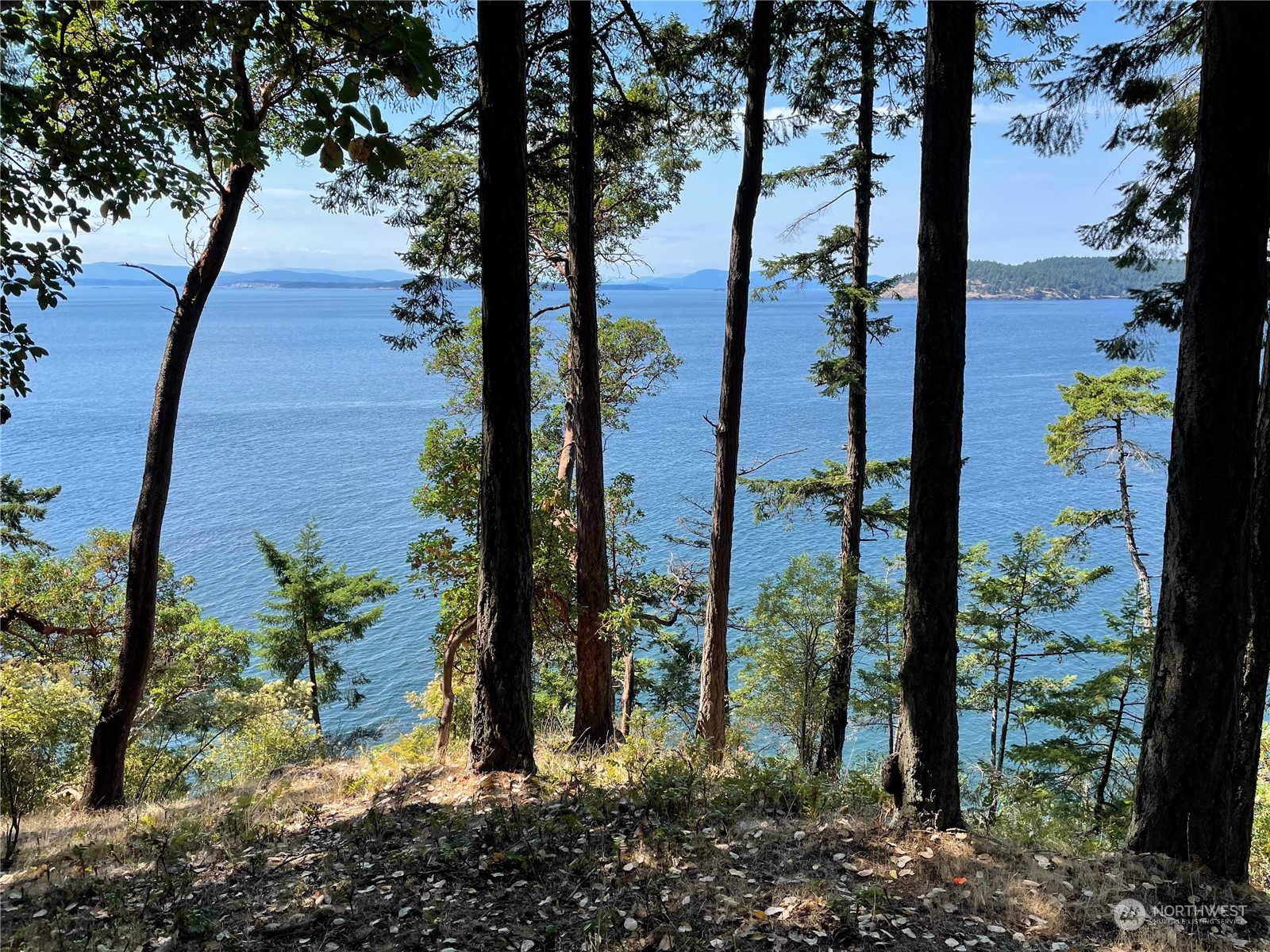 Friday Harbor, Washington, 98250, United States, ,Land,For Sale,1752518