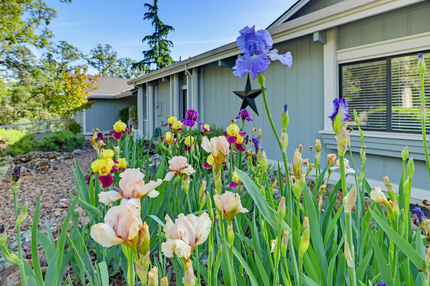 Auburn, California, 95602, United States, 3 Bedrooms Bedrooms, ,4 BathroomsBathrooms,Residential,For Sale,2020675