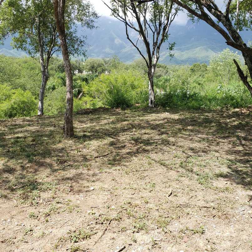 gonzalez, Santiago, Nuevo León, 67300, Mexico, 1 Bedroom Bedrooms, ,Residential,For Sale,gonzalez,1441494