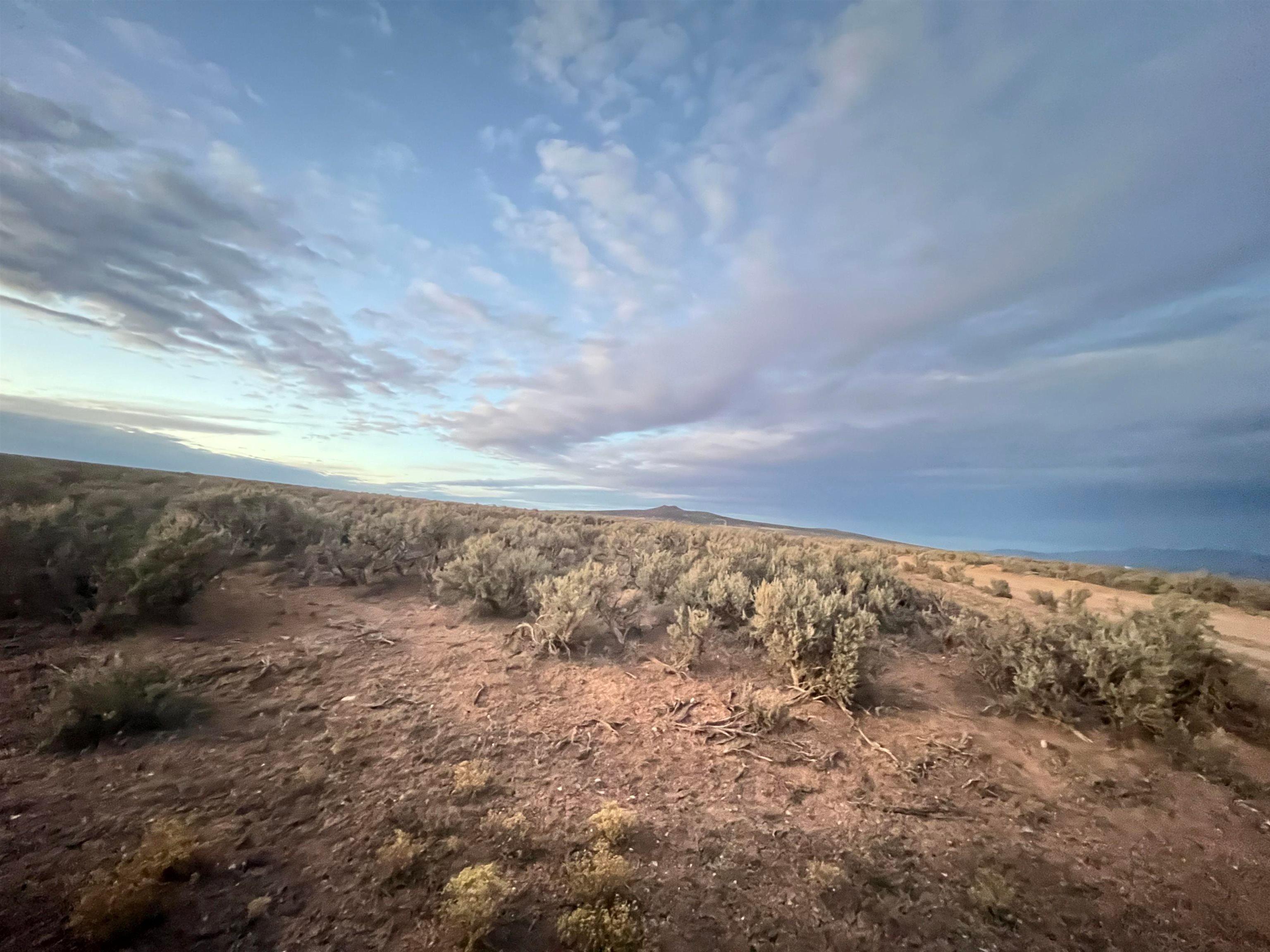 Sheep Herder Rd, Tres Piedras, New Mexico, 87577, United States, ,Land,For Sale,Sheep Herder Rd,1679207