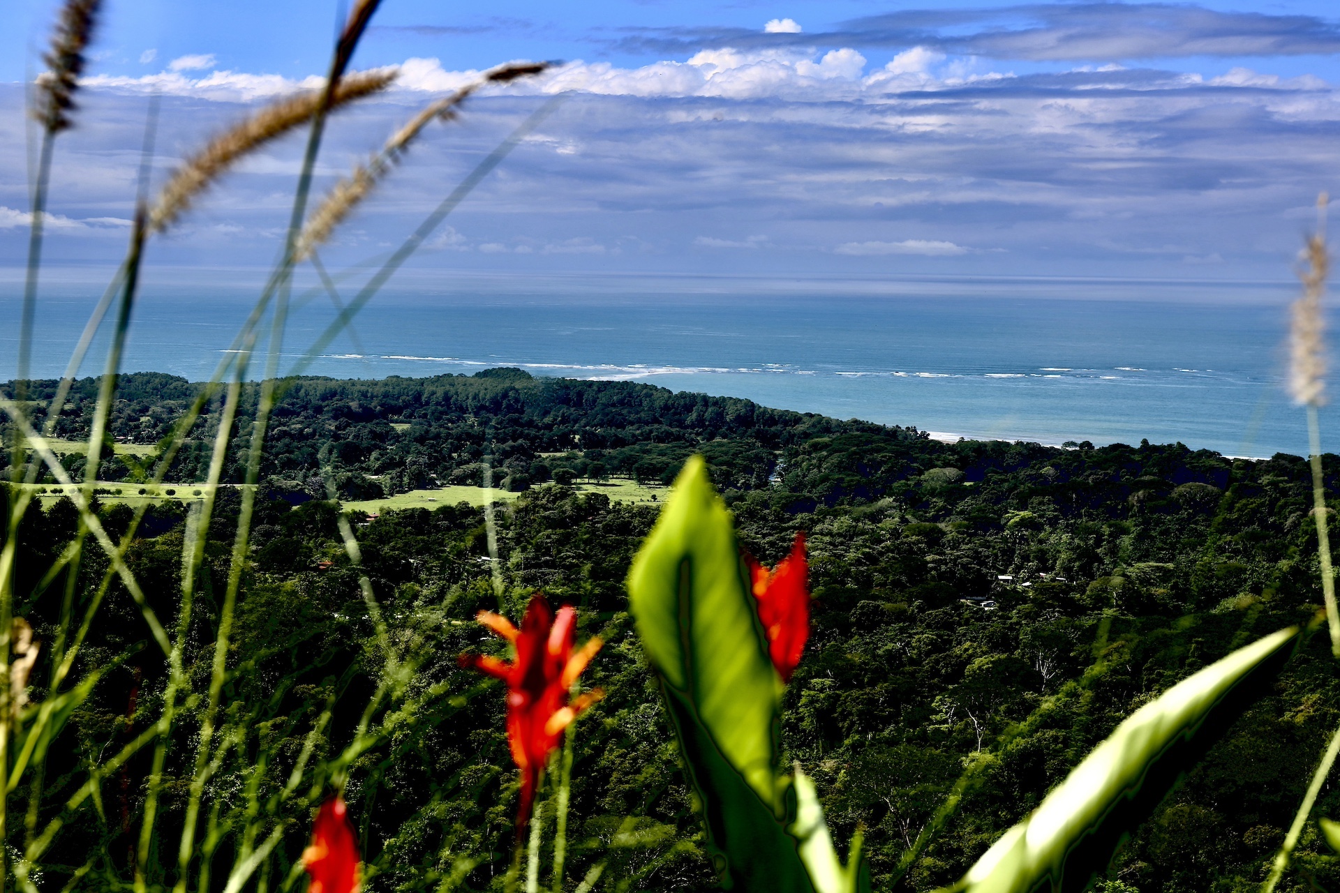 Uvita, Puntarenas, CR, 3 Bedrooms Bedrooms, ,5 BathroomsBathrooms,Residential,For Sale,1847310