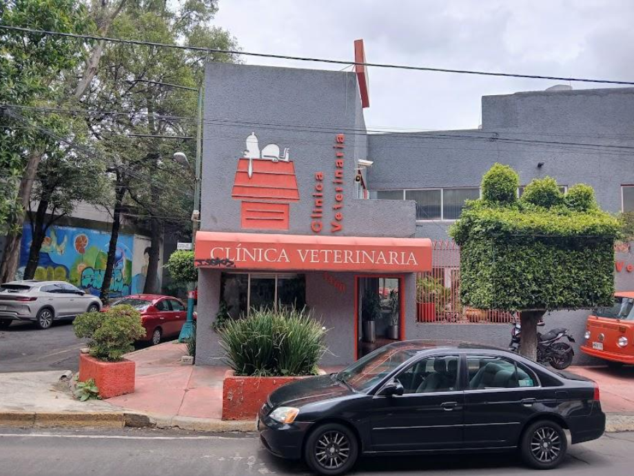 Coyoacán, Ciudad de México, 04200, Mexico, 4 Bedrooms Bedrooms, ,2 BathroomsBathrooms,Residential,For Sale,1916889