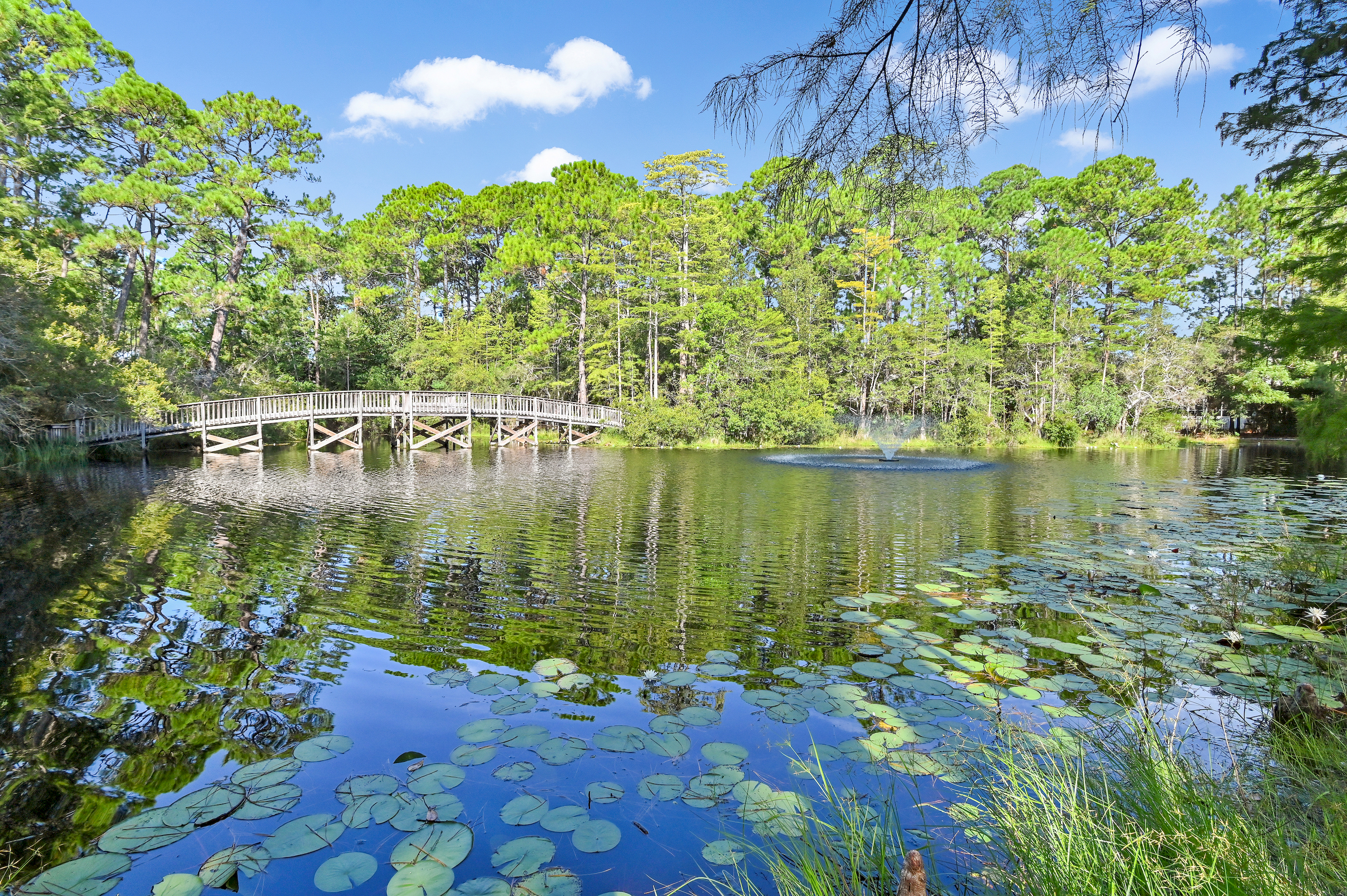  Charming Seagrove Beach Cottage Surrounded by Nature - 物件實景