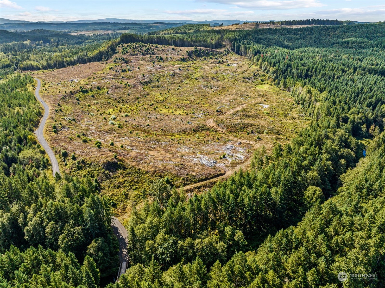 0 Salmon Creek Road, Toledo, Washington, 98591, United States, ,Land,For Sale,0 Salmon Creek Road,1445905