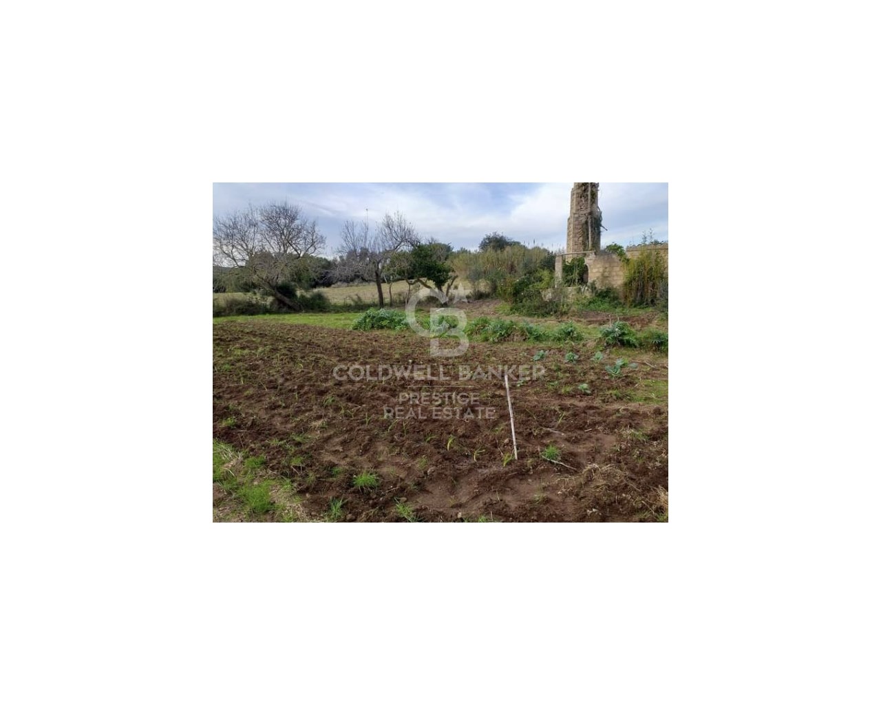 Mallorca, Art?, Art? Mallorca, Art?, Art? Mallorca, Artà, Balearic Islands, 07570, ES, 5 Bedrooms Bedrooms, ,2 BathroomsBathrooms,Residential,For Sale,Mallorca, Art?, Art? Mallorca, Art?, Art? Mallorca,1623997