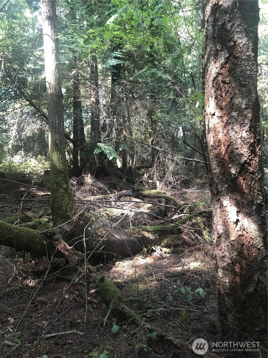 Lopez Island, Washington, 98261, United States, ,Land,For Sale,1982607