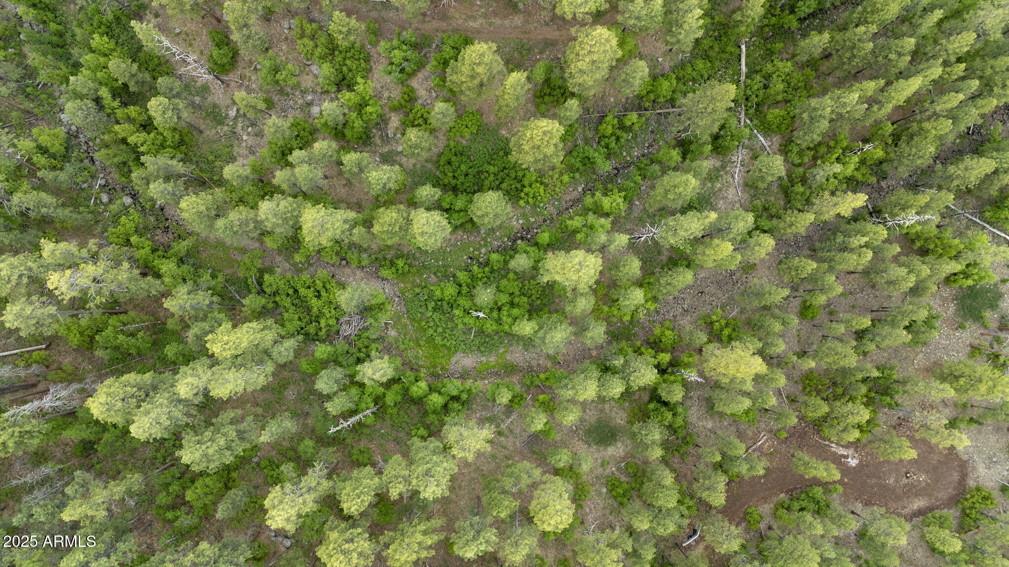 Munds Park, Arizona, 86017, United States, ,Land,For Sale,1865500