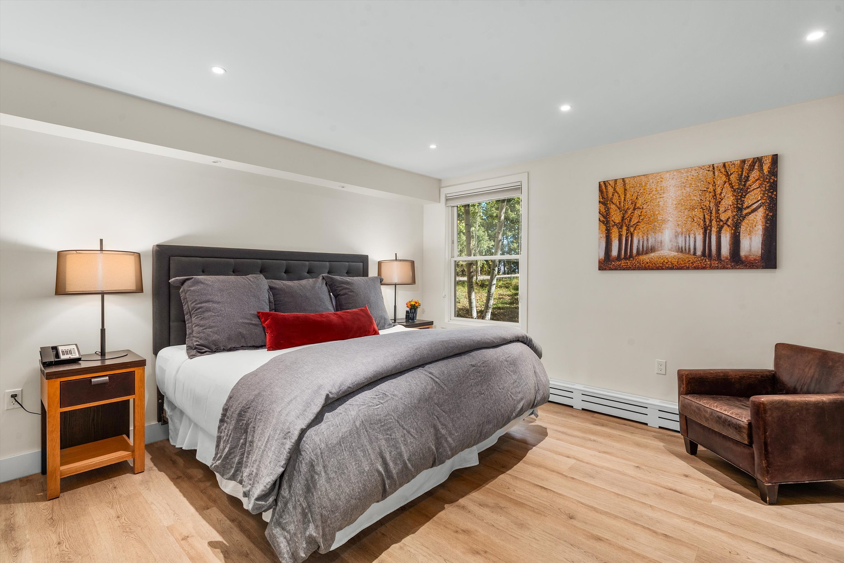  425 Wood Road, Snowmass Village, CO, 81615 - 物件實景