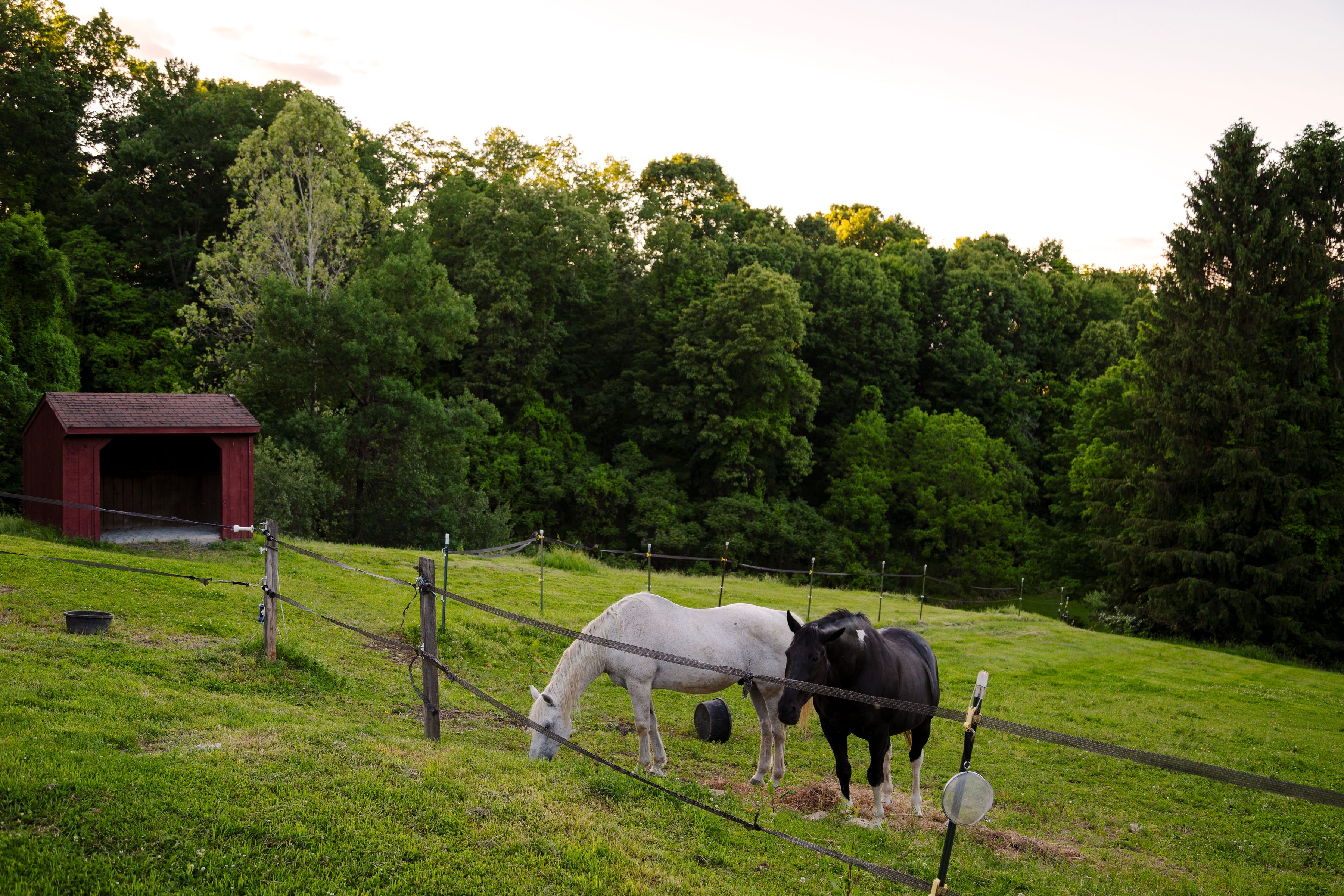  322 Schultz Lane, Kingston, NY 12401 - 物件實景