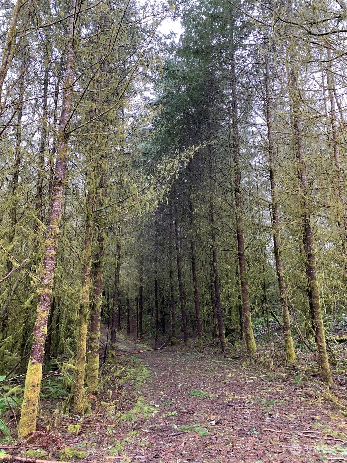 0 Fallert Road, Kalama, Washington, 98625, United States, ,Land,For Sale,0 Fallert Road,1273199