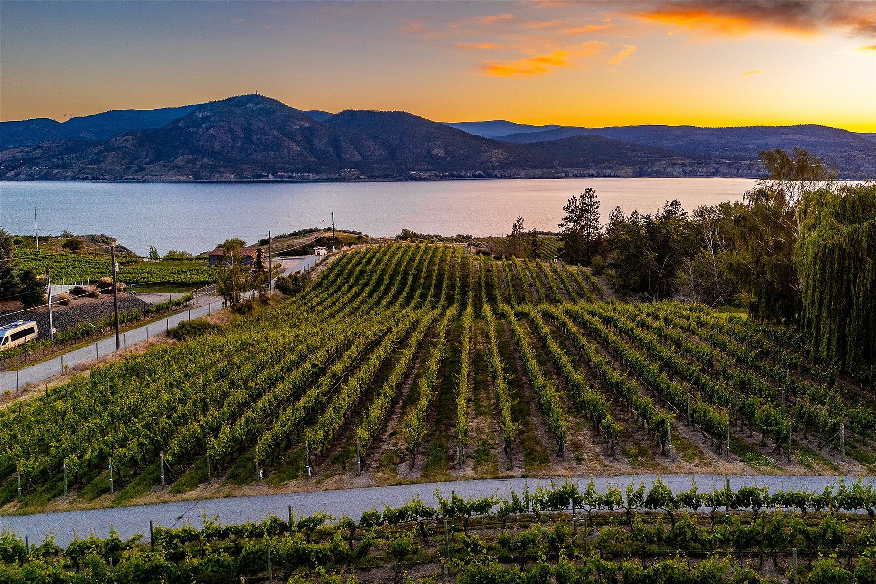  Multiple Homes on a Vineyard - 物件實景