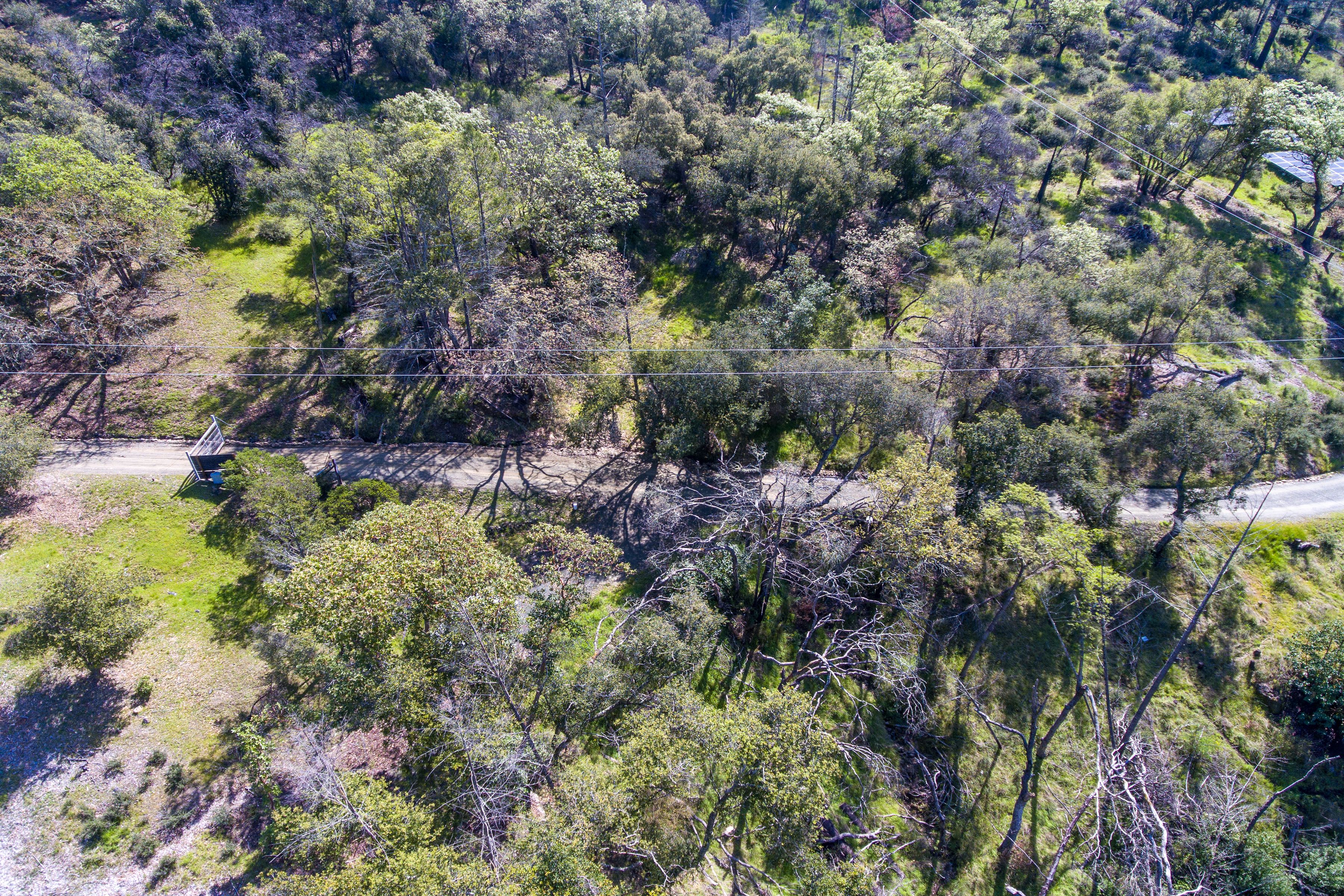  7935 St Helena Road - 物件實景