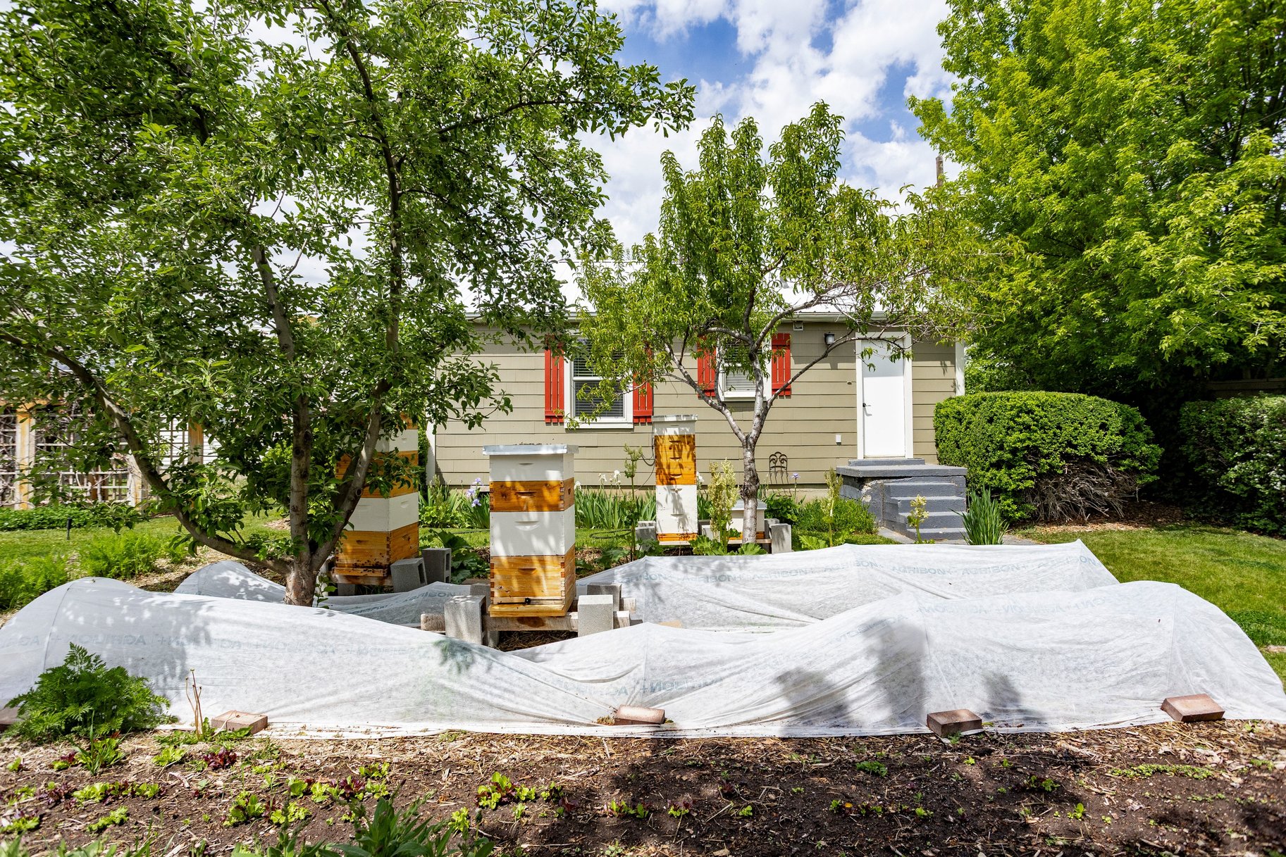  Multifamily Homestead in the Heart of Holladay - 物件實景