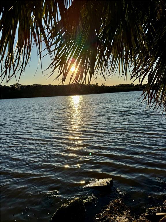 Ormond Beach, Florida, 32176, United States, ,Land,For Sale,1743794