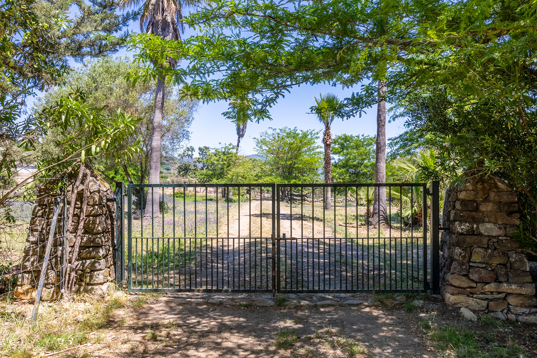  Exclusive Estate in Los Alcornocales Natural Park - 物件實景