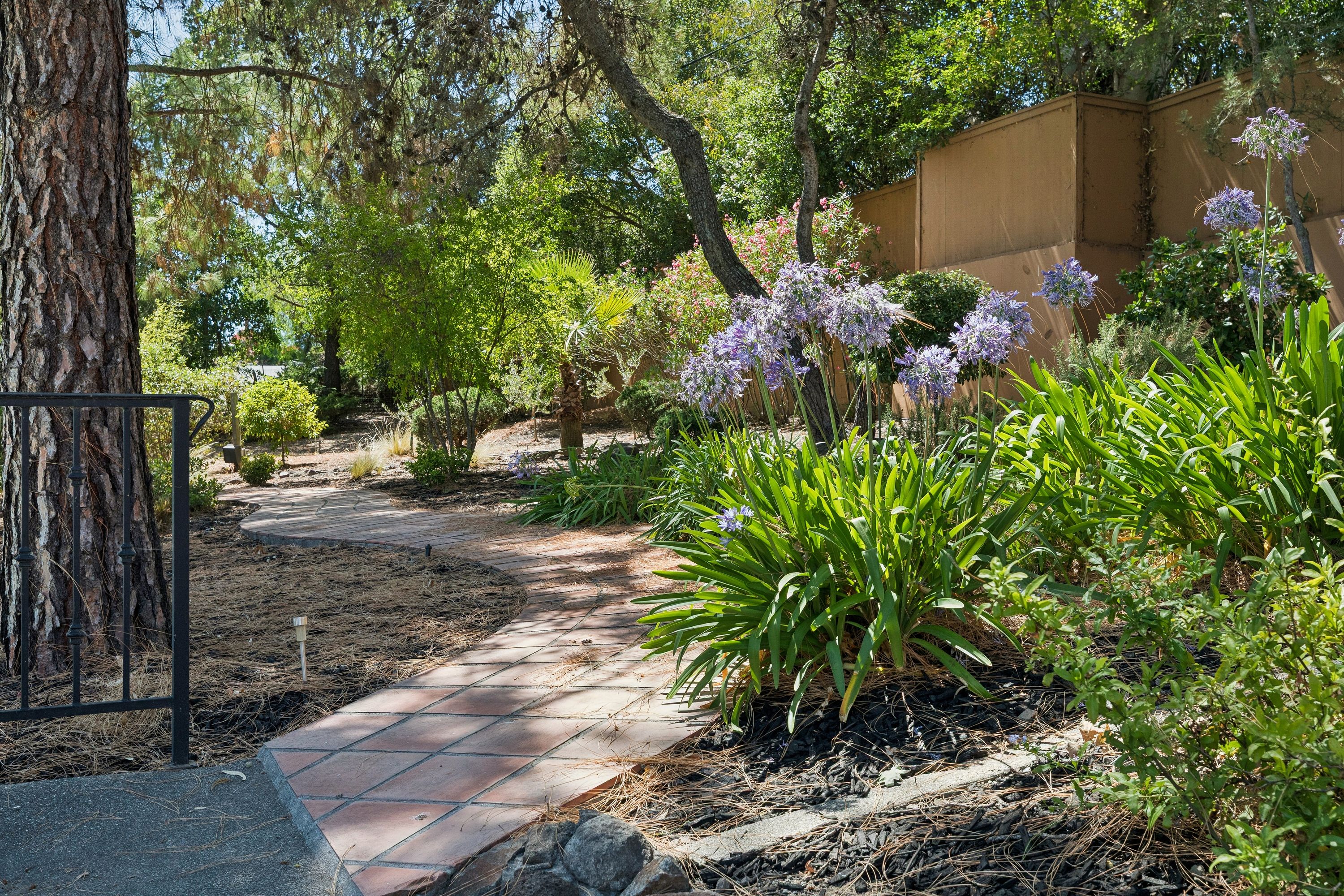  Napa Valley Lifestyle Estate - 物件實景