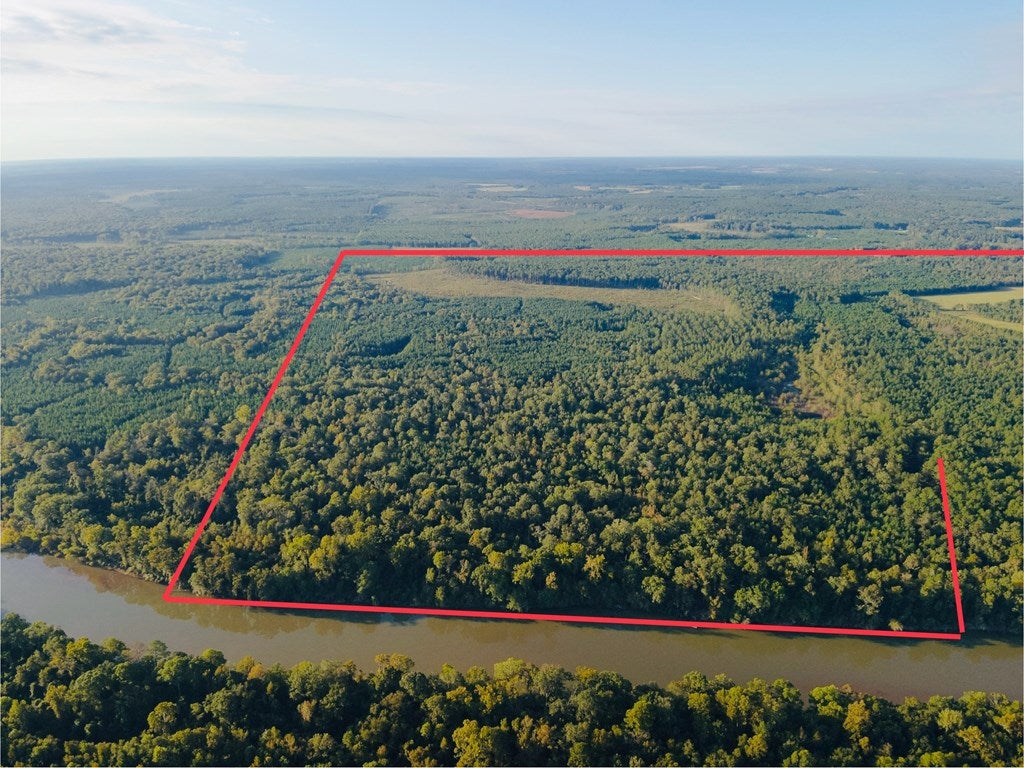 Abbeville, Georgia, 31001, United States, ,Land,For Sale,1975130