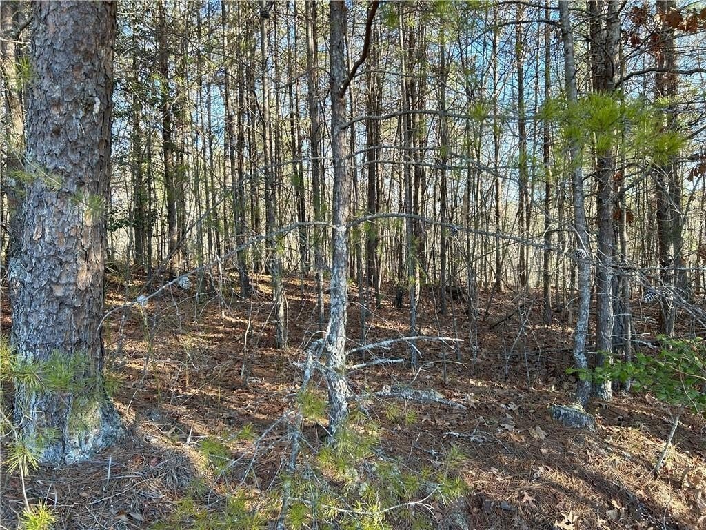 Dawsonville, Georgia, 30148, United States, ,Land,For Sale,1978894