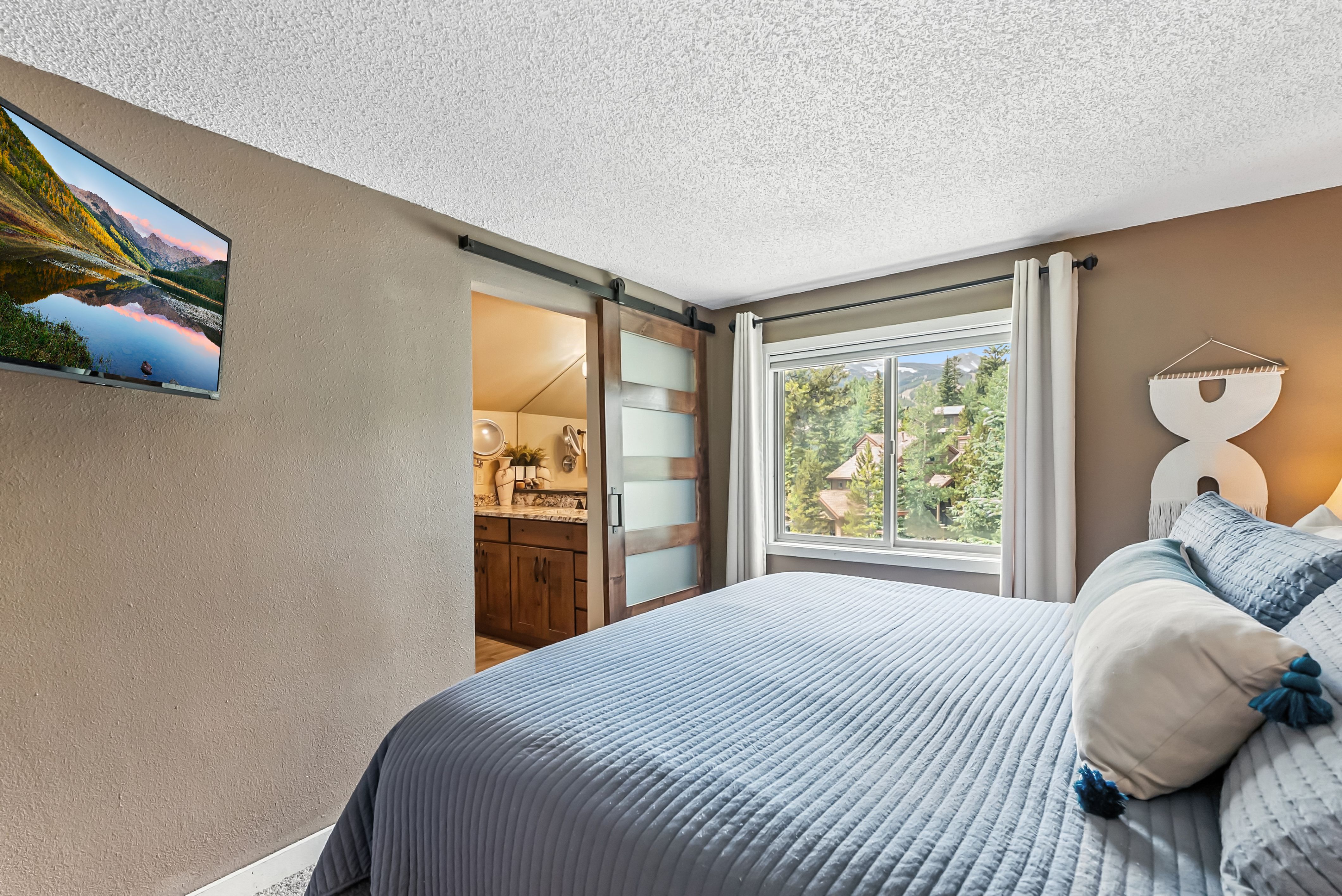  550 S French Street,Breckenridge, CO, 80424 - 物件實景