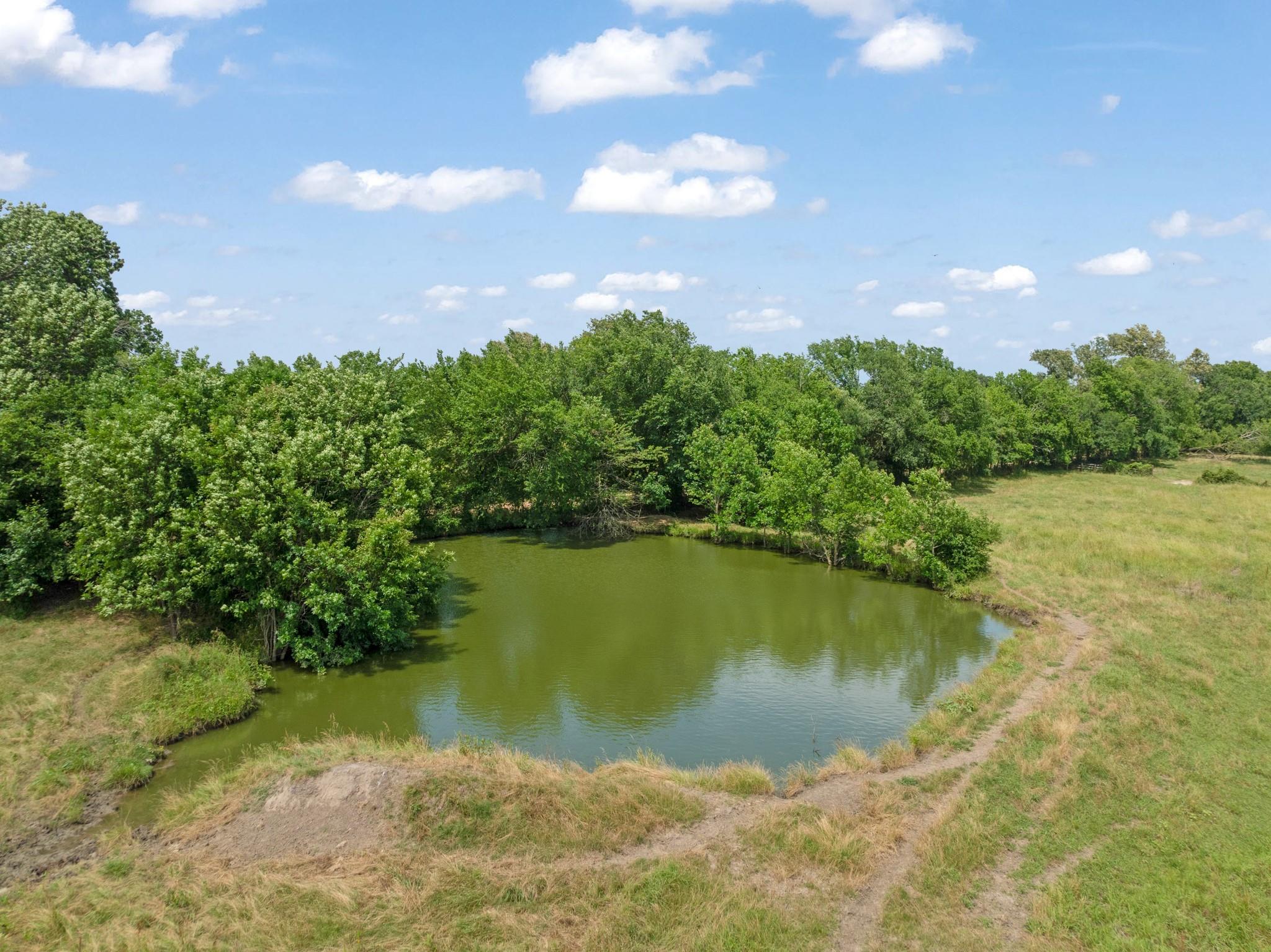 Pattonville, Texas, 75468, United States, ,Land,For Sale,1990194