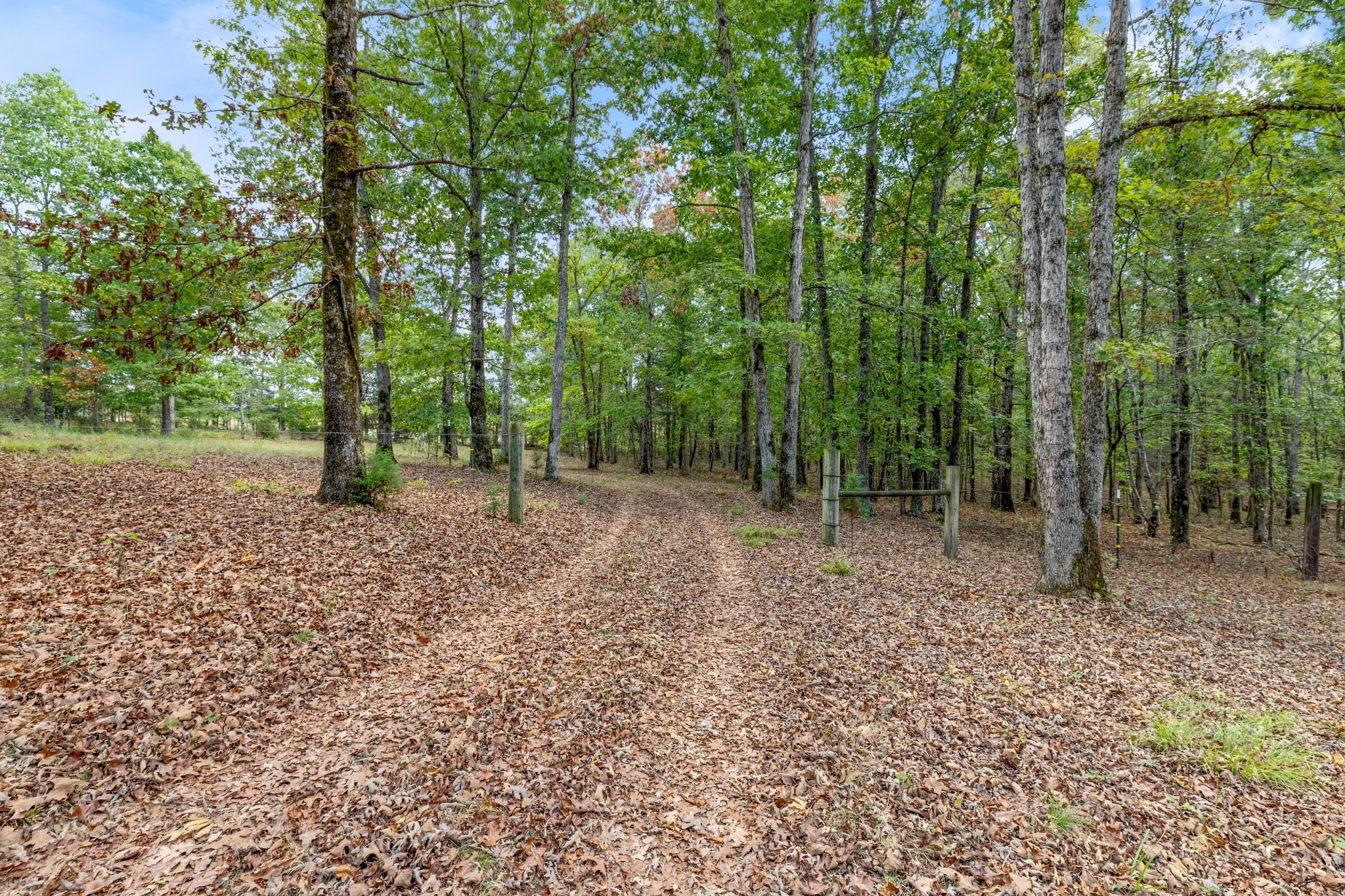 Mc Ewen, Tennessee, 37101, United States, ,Residential,For Sale,1923664