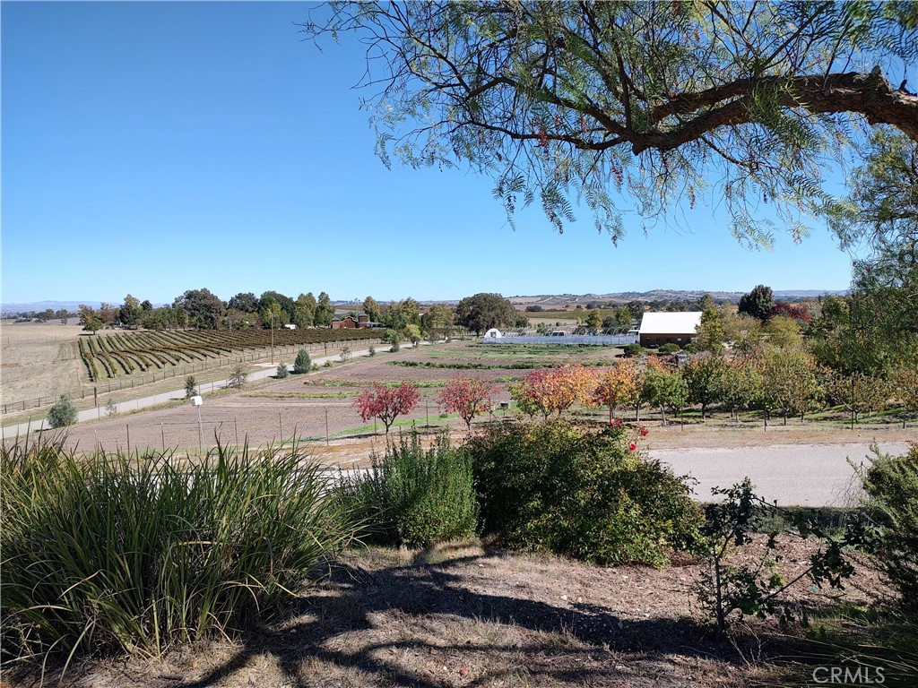 Templeton, California, 93465, United States, 4 Bedrooms Bedrooms, ,4 BathroomsBathrooms,Residential,For Sale,2006355