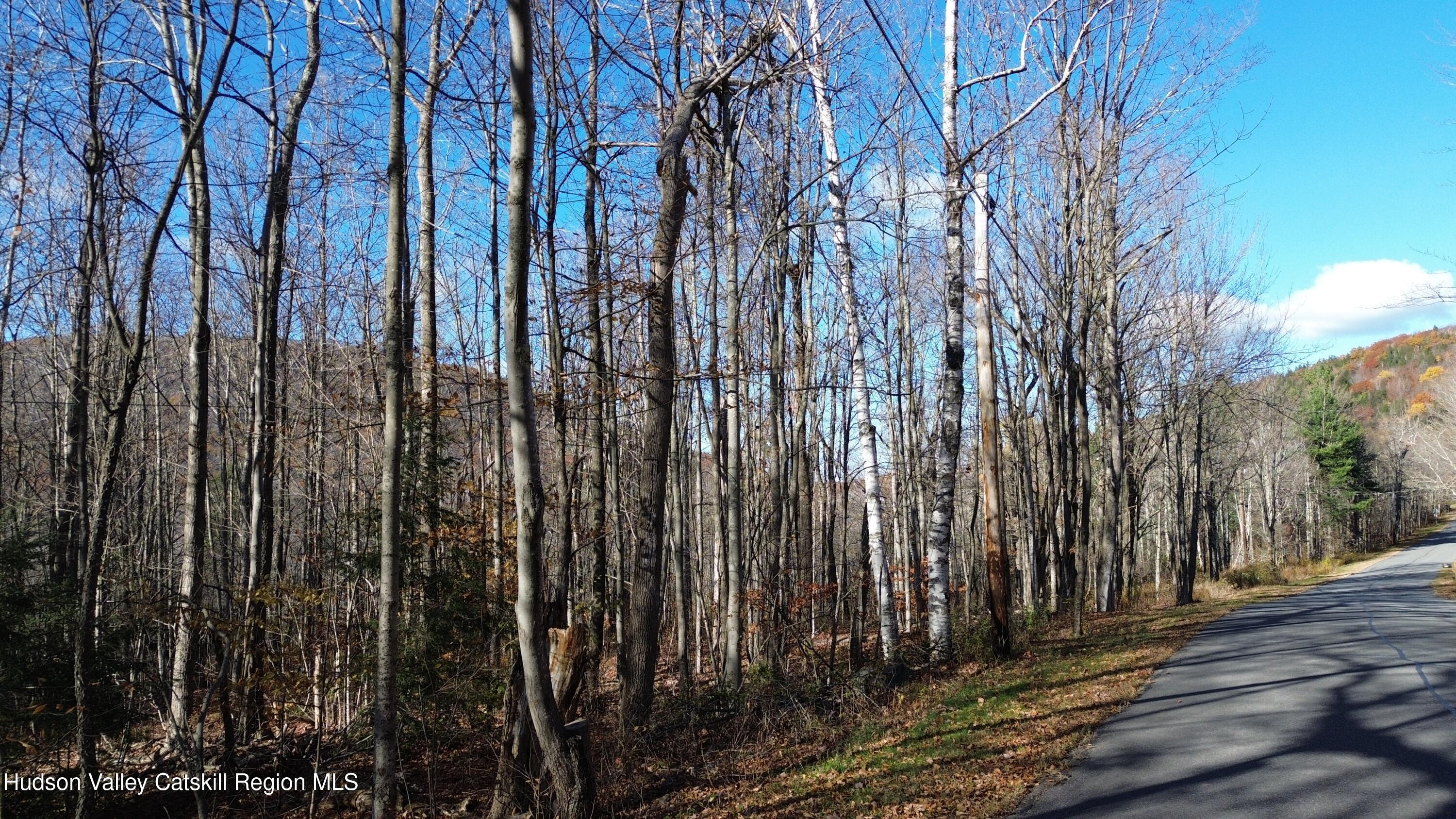 Windham, New York, 12496, United States, ,Residential,For Sale,1998501