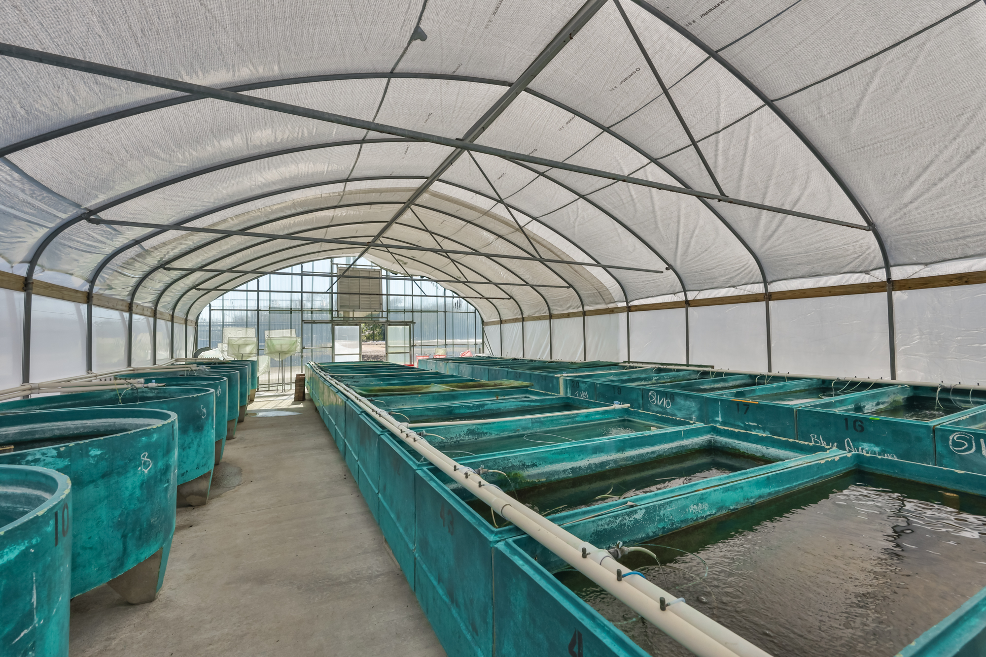 Wimauma, Florida, 33598, United States, 3 Bedrooms Bedrooms, ,2 BathroomsBathrooms,Residential,For Sale,2016610