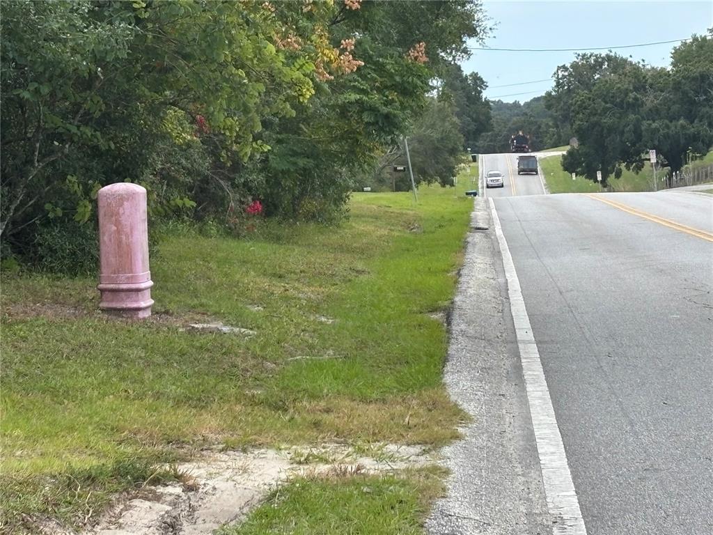 Apopka, Florida, 32712, United States, ,Land,For Sale,1998337